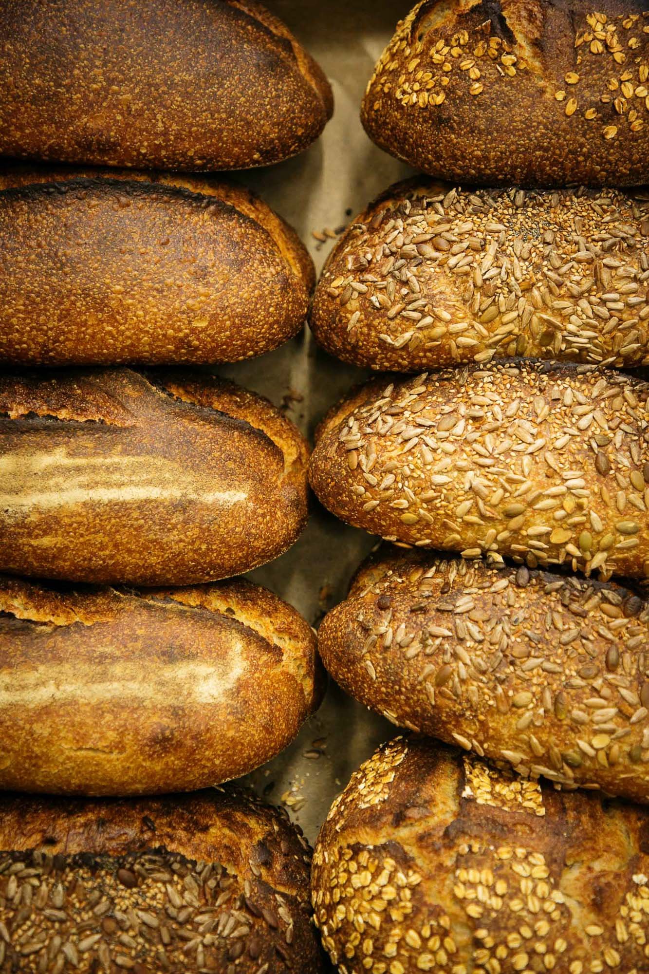 Sourdough bread loaves.jpg