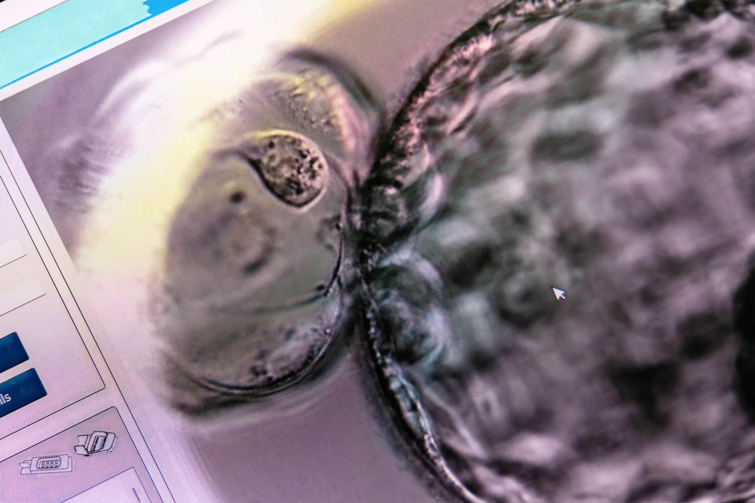 Medical marketing photography for Manchester Fertilty-40.jpg