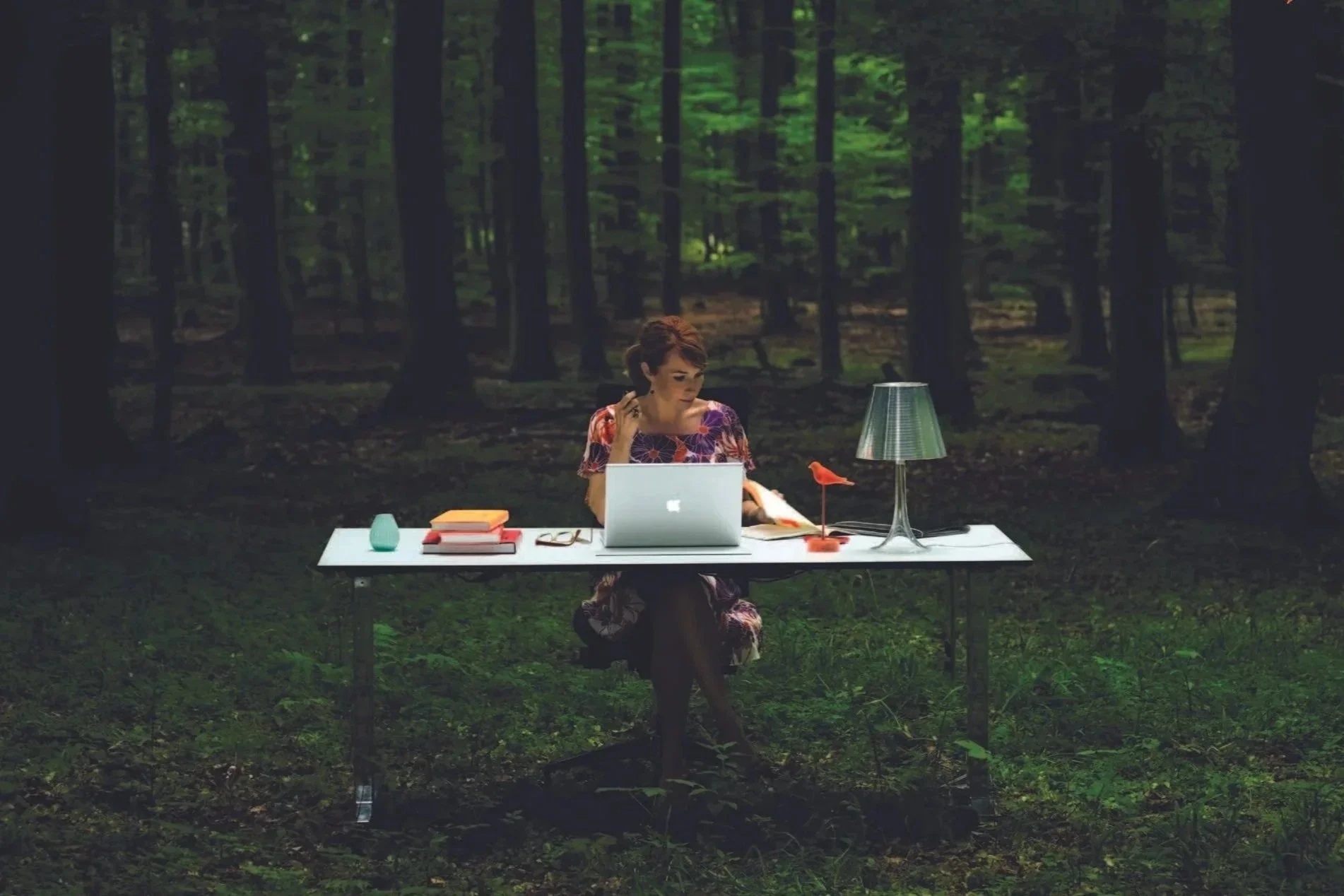 Person arbejder ved skrivebord i skov — biophilic design og naturbaserede arbejdsmiljøer