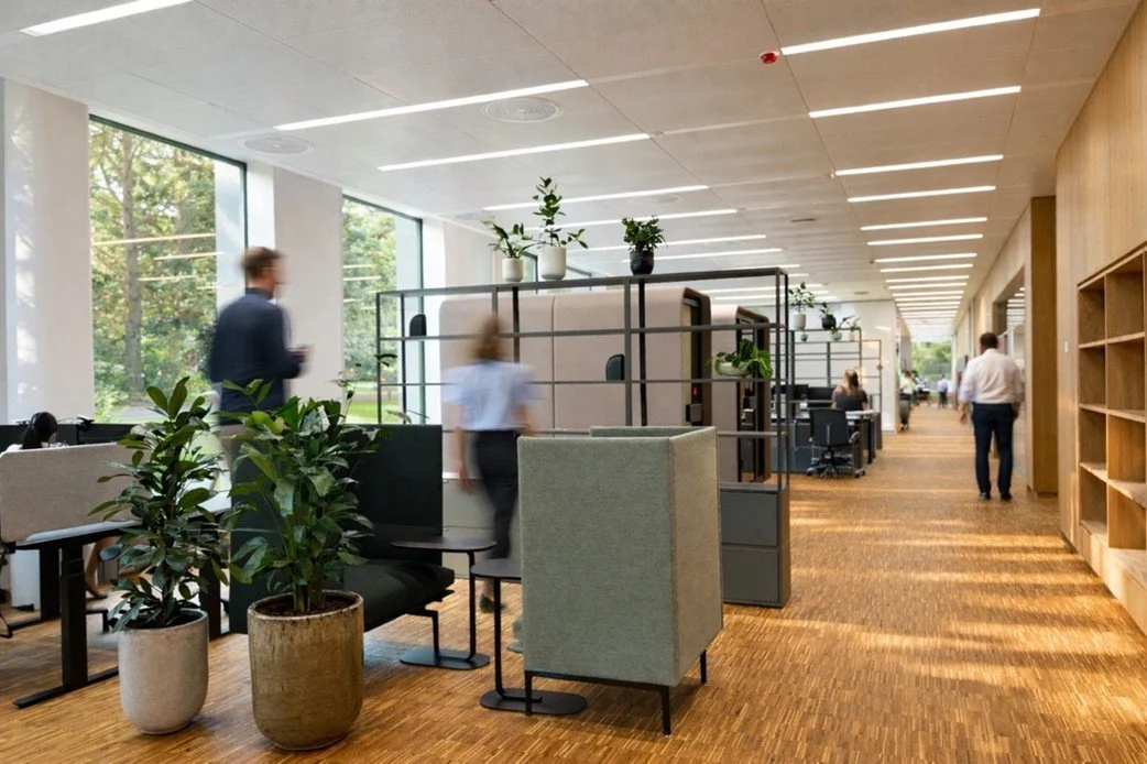 Biophilic design i arbejdsmiljø — aktivitetsbaseret kontor med planter, naturligt lys og vinduespladser