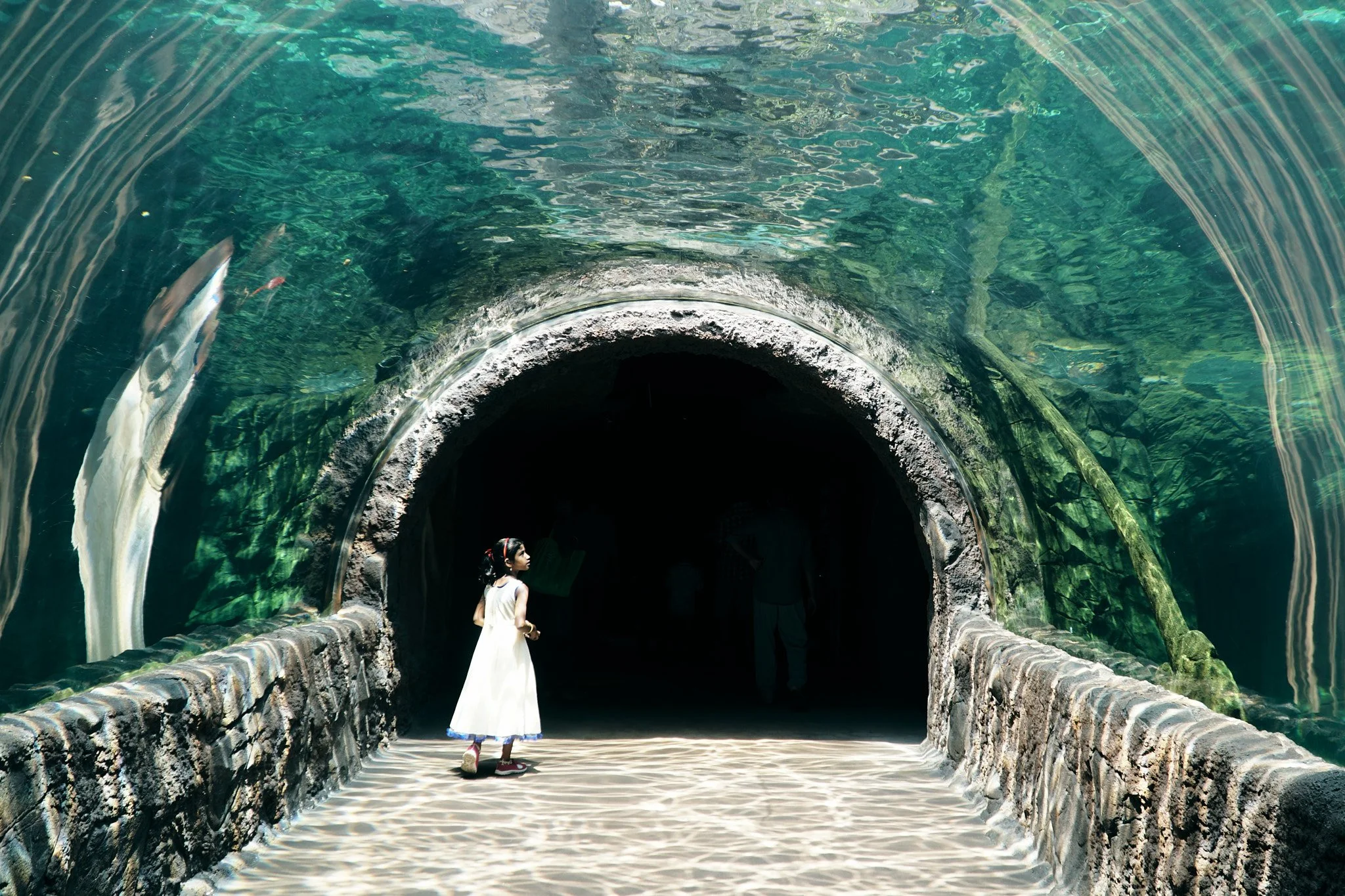 River Safari, Singapore, June 2018