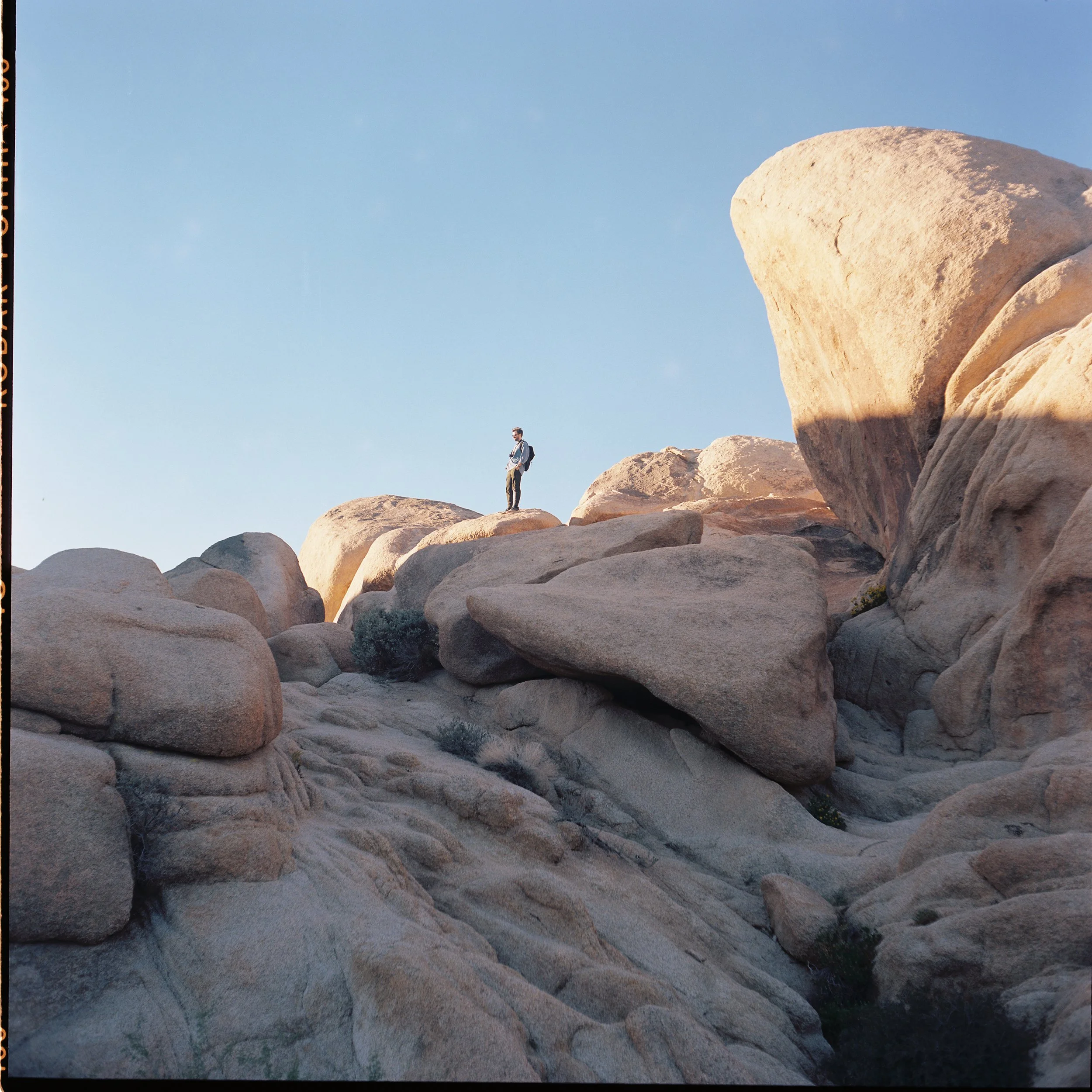 Spending time in Joshua Tree for our Elopement and Honeymoon, captured on film.