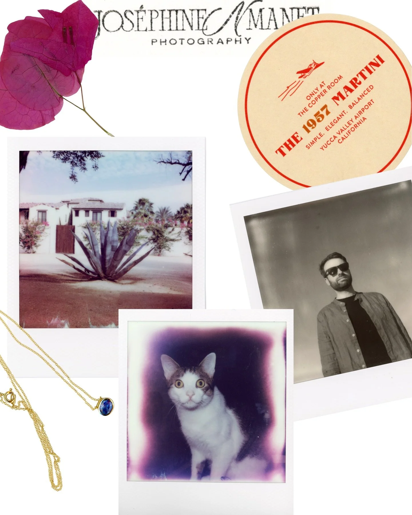 2025 you beautiful and chaotic year. My goal this year was to chill the fuck (!) out, regain my footing and just enjoy it all as much as I could. We made lots of photos and memories, we traveled, we got married (once in front of our house, and then o