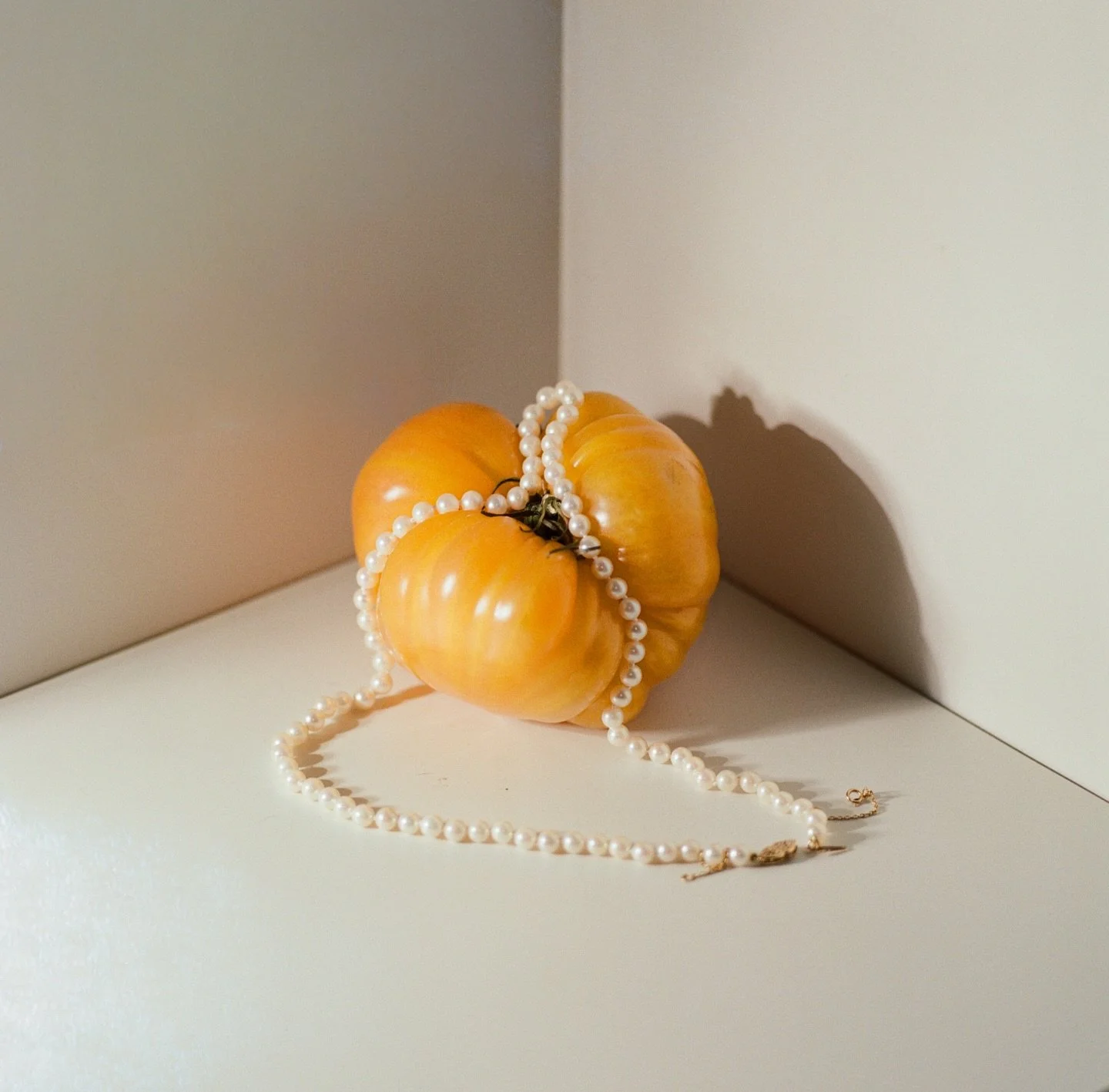 A little exercise in details with some fun off-camera flash and the Hasselblad I don&rsquo;t use enough. 

I&rsquo;m really gearing up for the upcoming year and I&rsquo;m excited to take some cool photos with even cooler people (and / or fruit). &hea