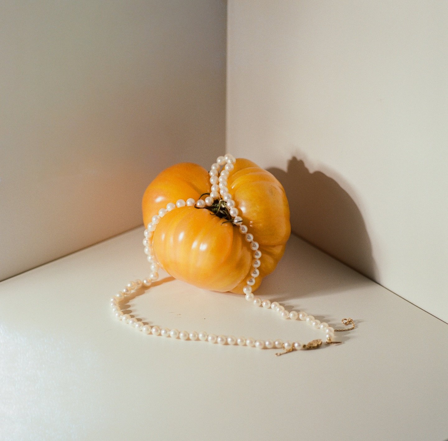 A little exercise in details with some fun off-camera flash and the Hasselblad I don&rsquo;t use enough. 

I&rsquo;m really gearing up for the upcoming year and I&rsquo;m excited to take some cool photos with even cooler people (and / or fruit). &hea