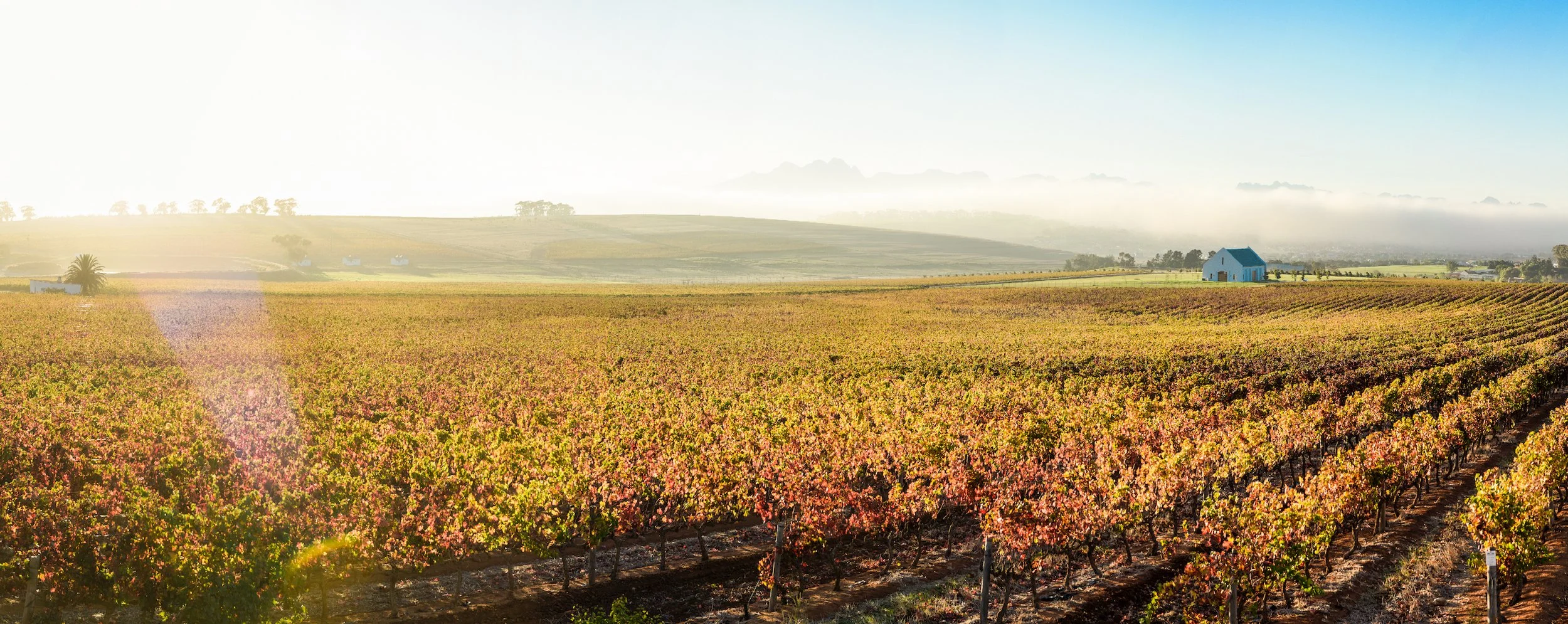 Screen Shot 2017-05-08 at 10.57.45 PM-1.jpg