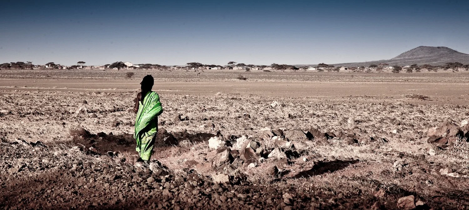 GreenRobe Landscape-1-25.jpg