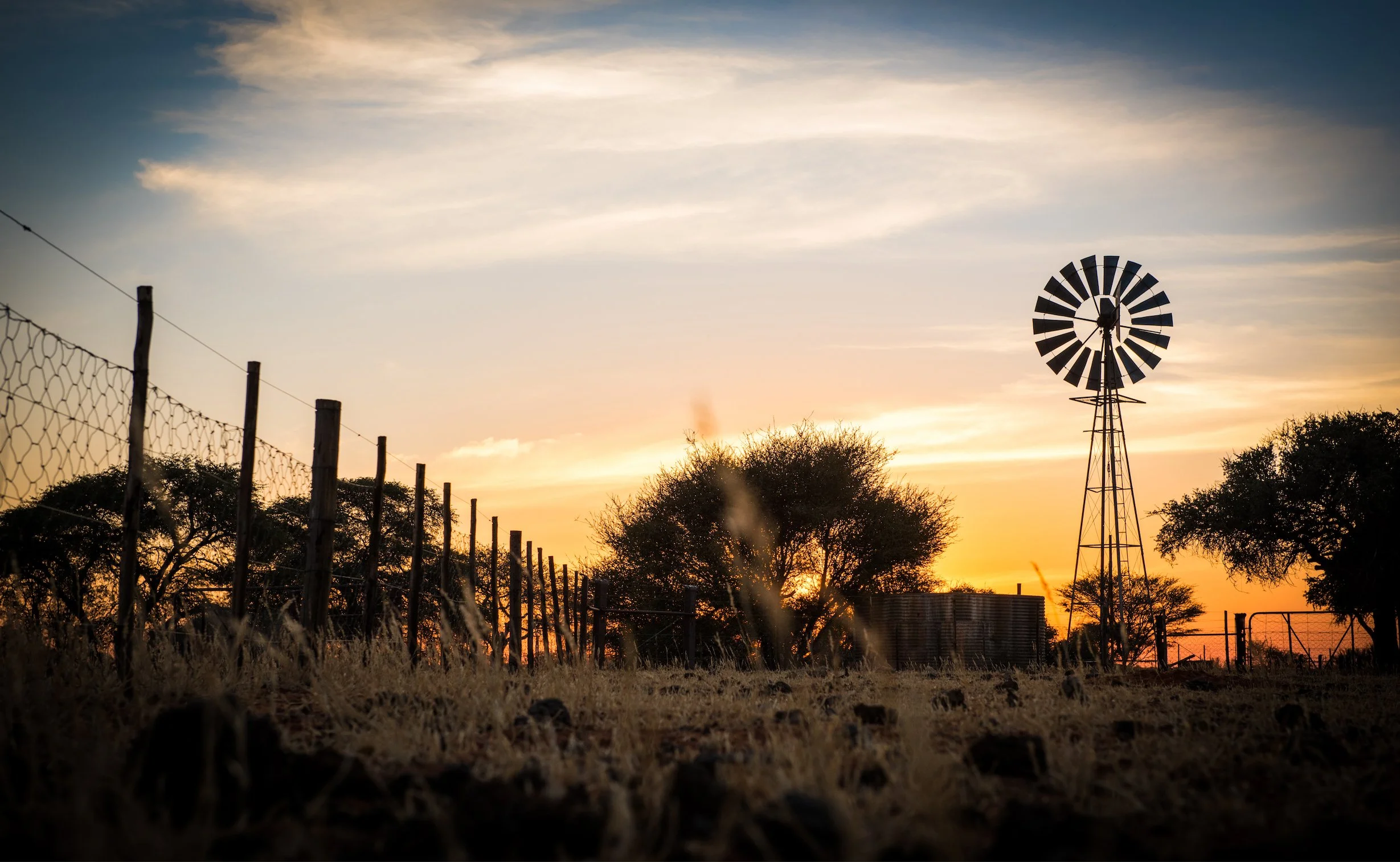 Screen Shot 2017-05-08 at 11.03.39 PM-6.jpg