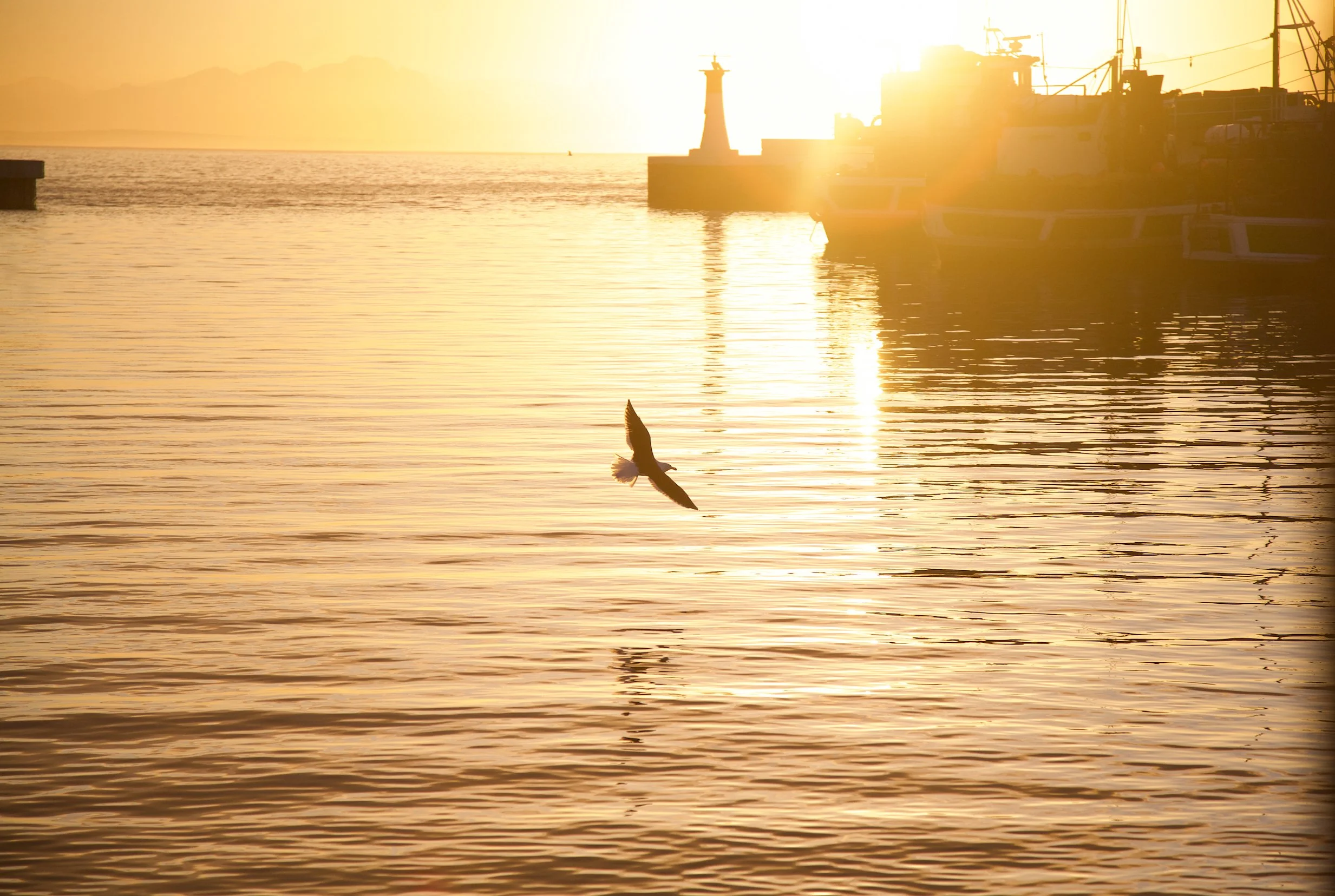 Screen Shot 2017-05-08 at 11.17.54 PM-19.jpg