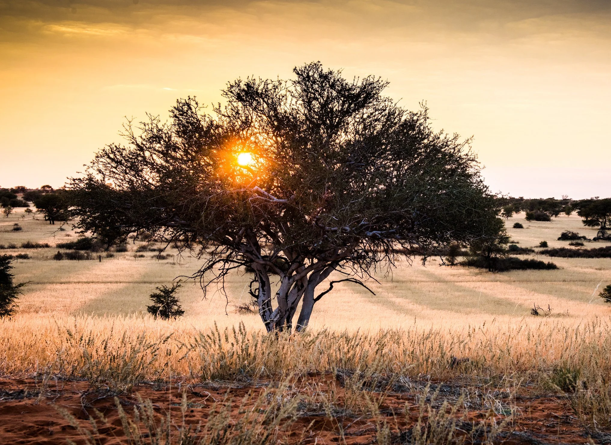 Screen Shot 2017-05-08 at 11.04.17 PM-7.jpg