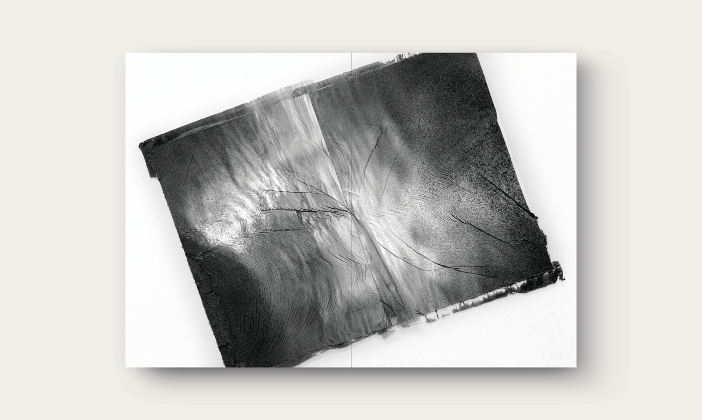 planches-SylvieBonnot_ProcessEditions_05.png.webp