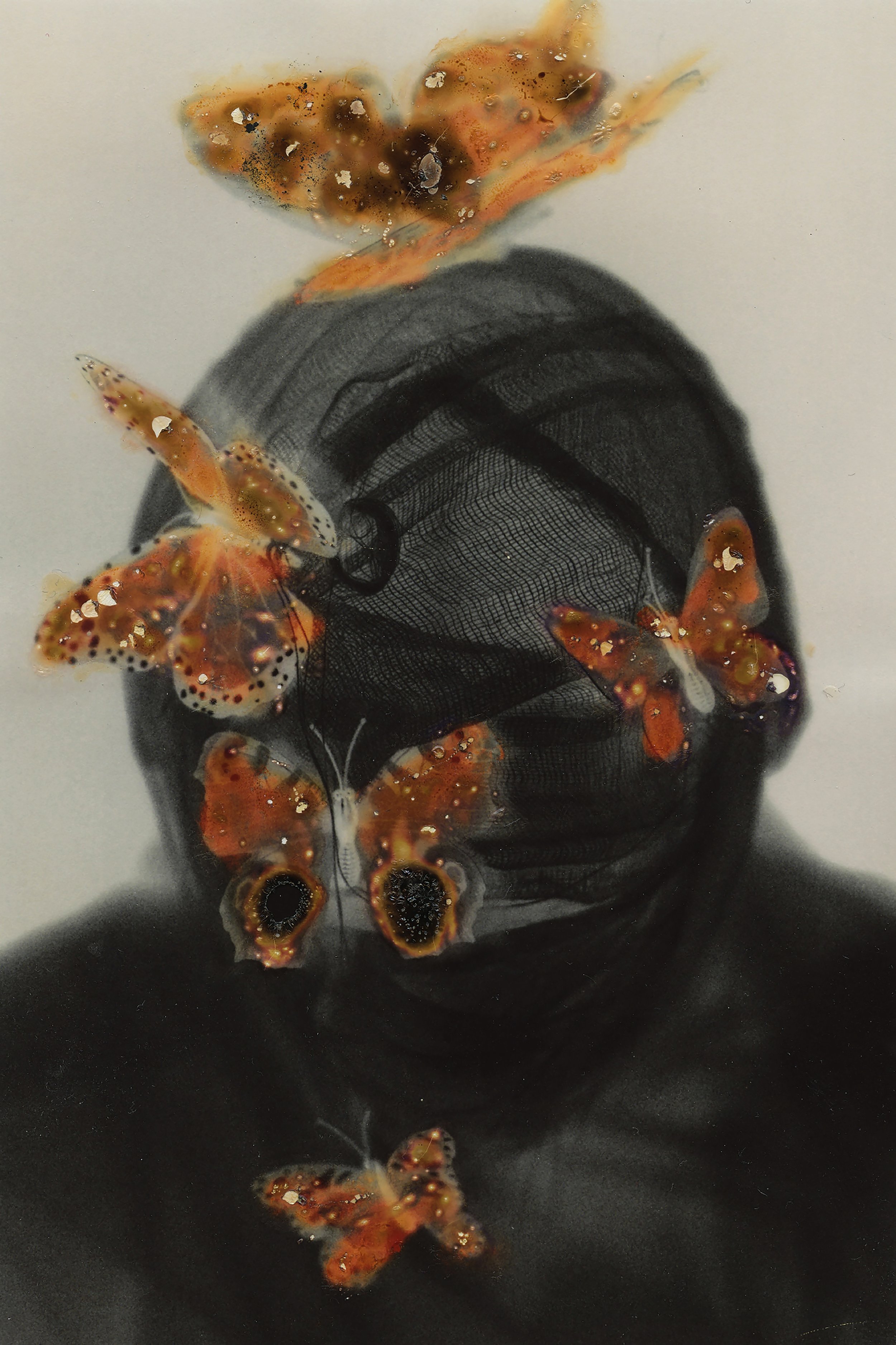 Misery is butterfly © Olia Koval