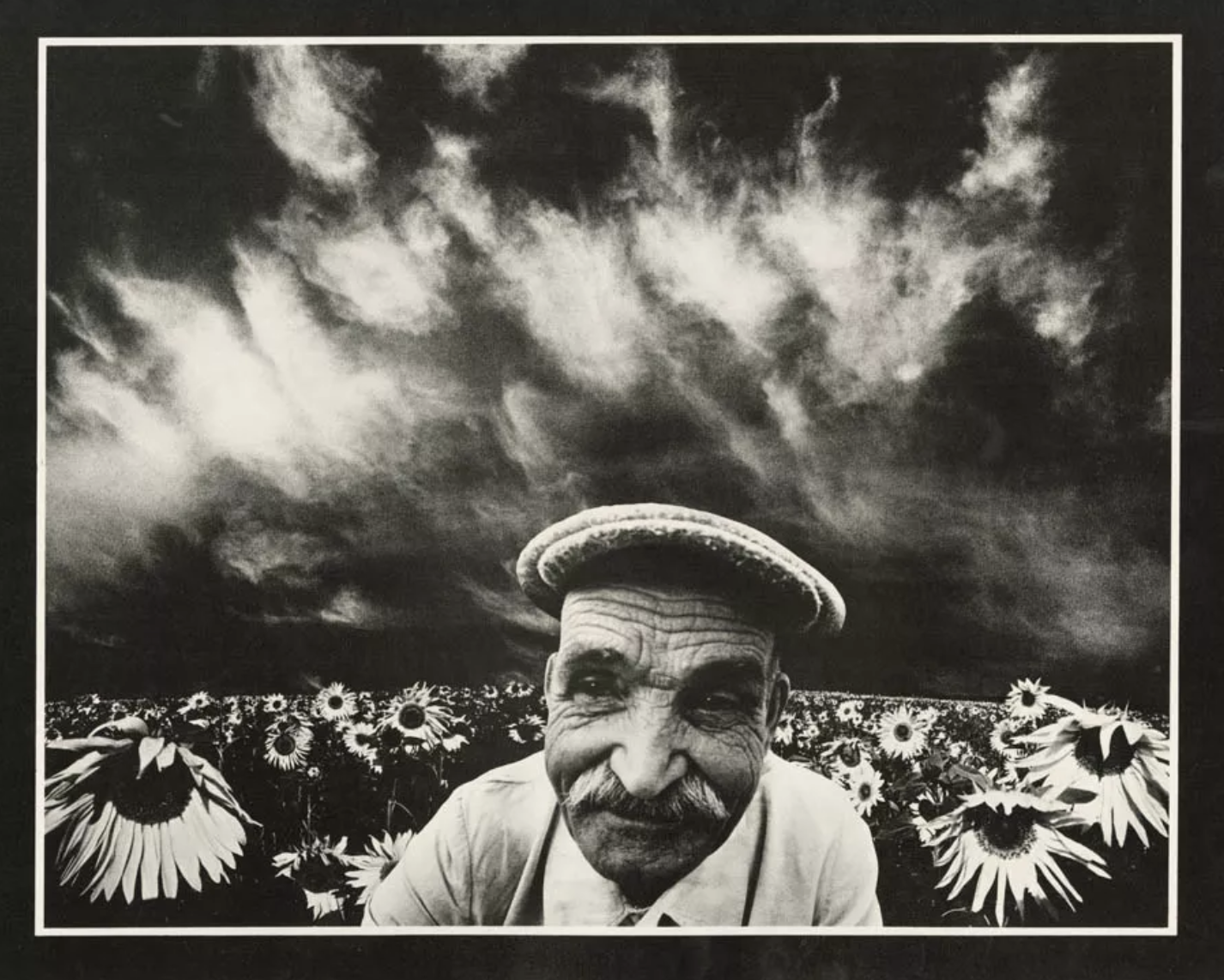 Sunflowers II - 1975 © Oleksandr Suprun