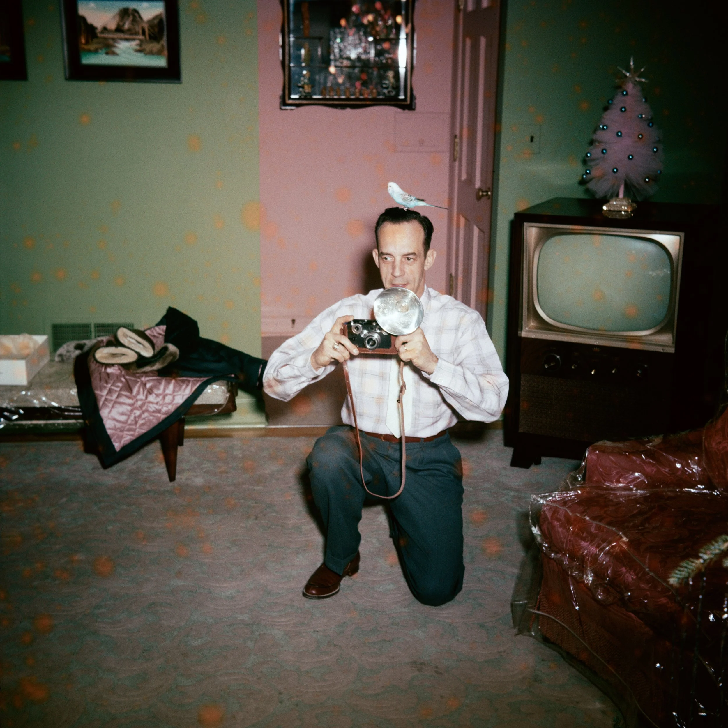 USA, 1960 © Lee Shulman / The Anonymous Project