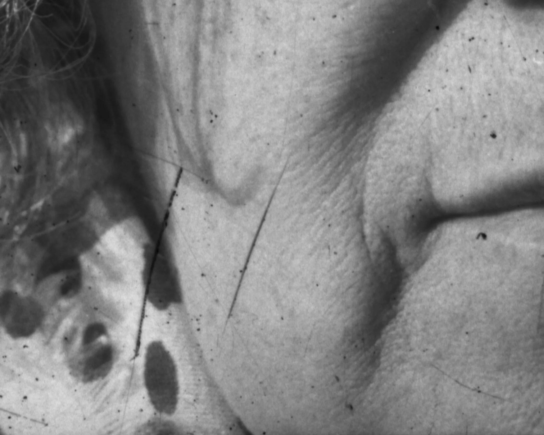 “Je vois des formes dans les nuages” - Jury Exhibition ENSAV La Cambre Photography  