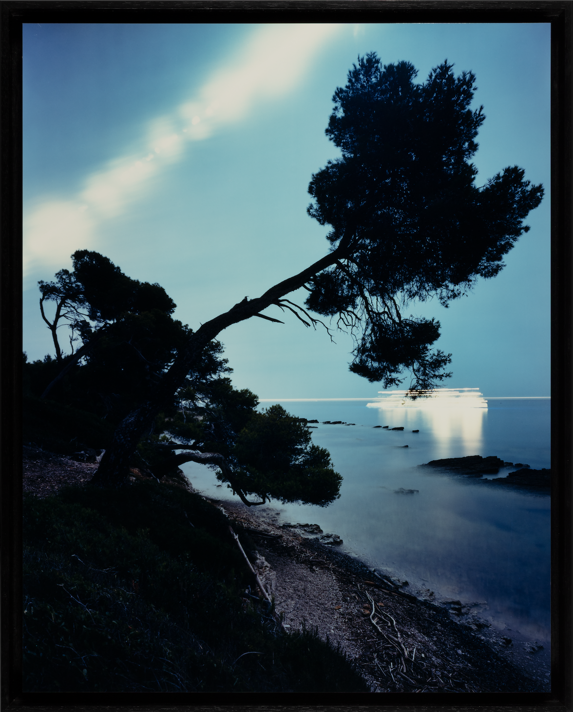  Marie Bovo  - Pin d’Alep, île Sainte-Marguerite, lune gibbeuse décroissante en Verseau,  2026 de la série «Les Forêts d’Hypnos, chapitre II, Sainte-Marguerite et Sainte Salsa de Tipaza» FNAC 2026-0040 Collection du Centre national des arts plastique