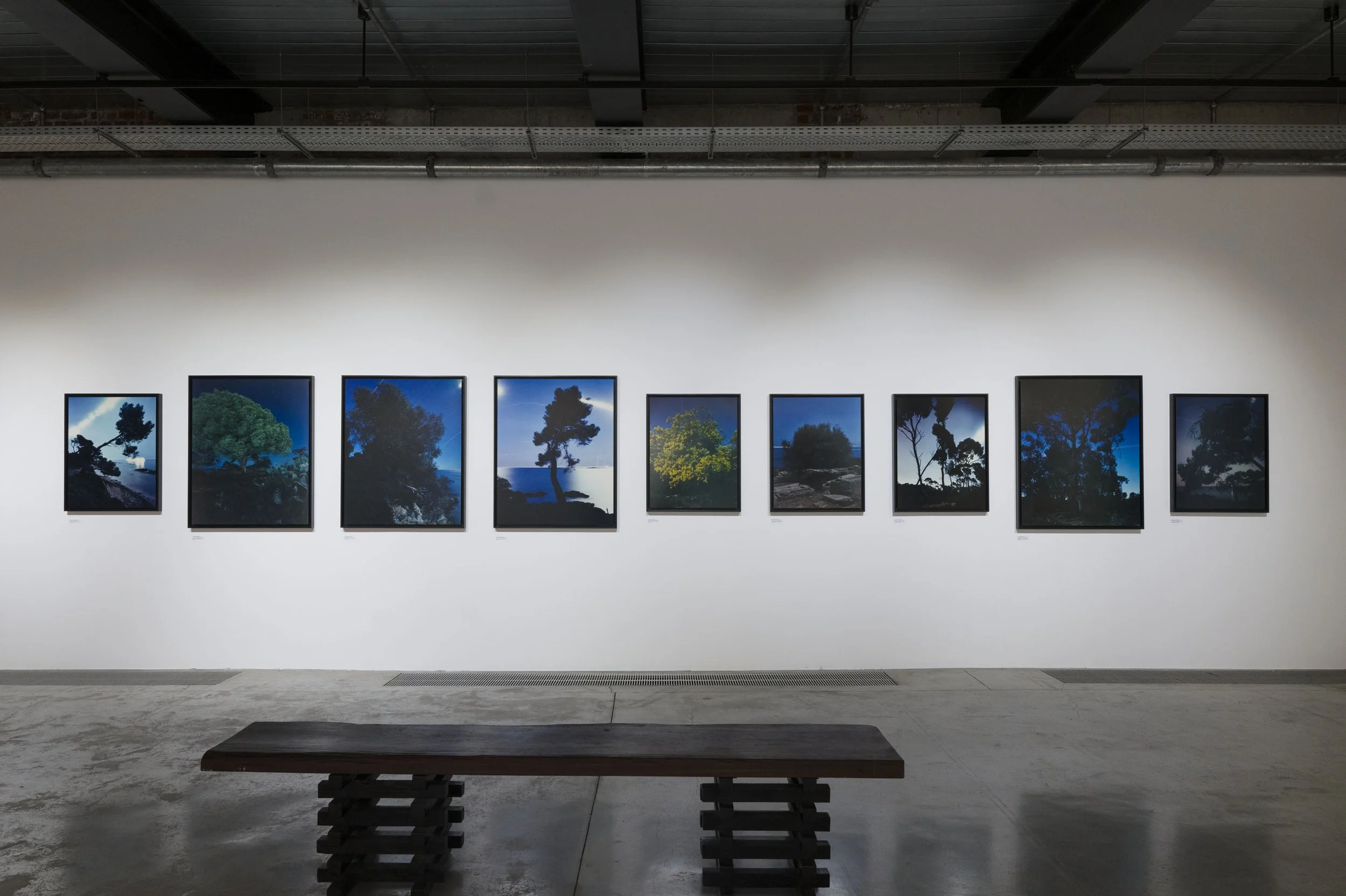 L1153079.jpg