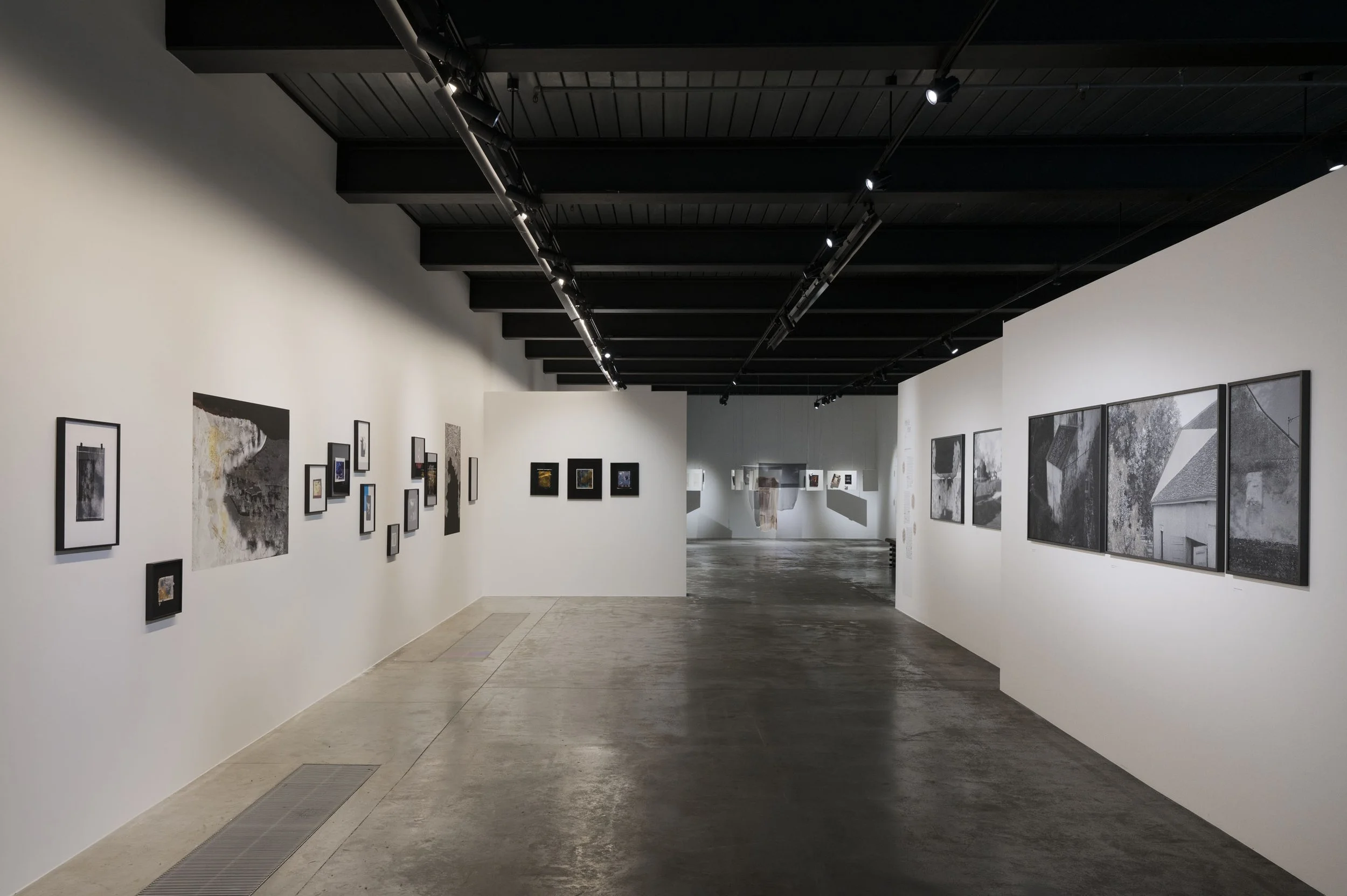 L1153211.jpg