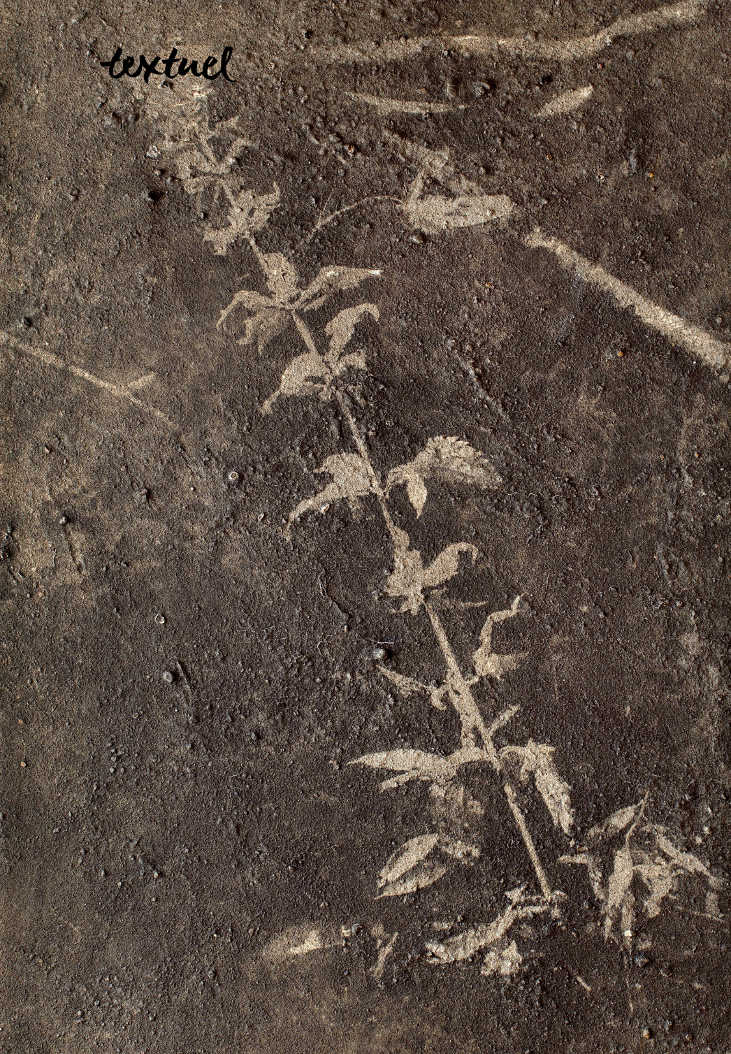 Capture d’écran 2025-12-06 à 17.27.43.png