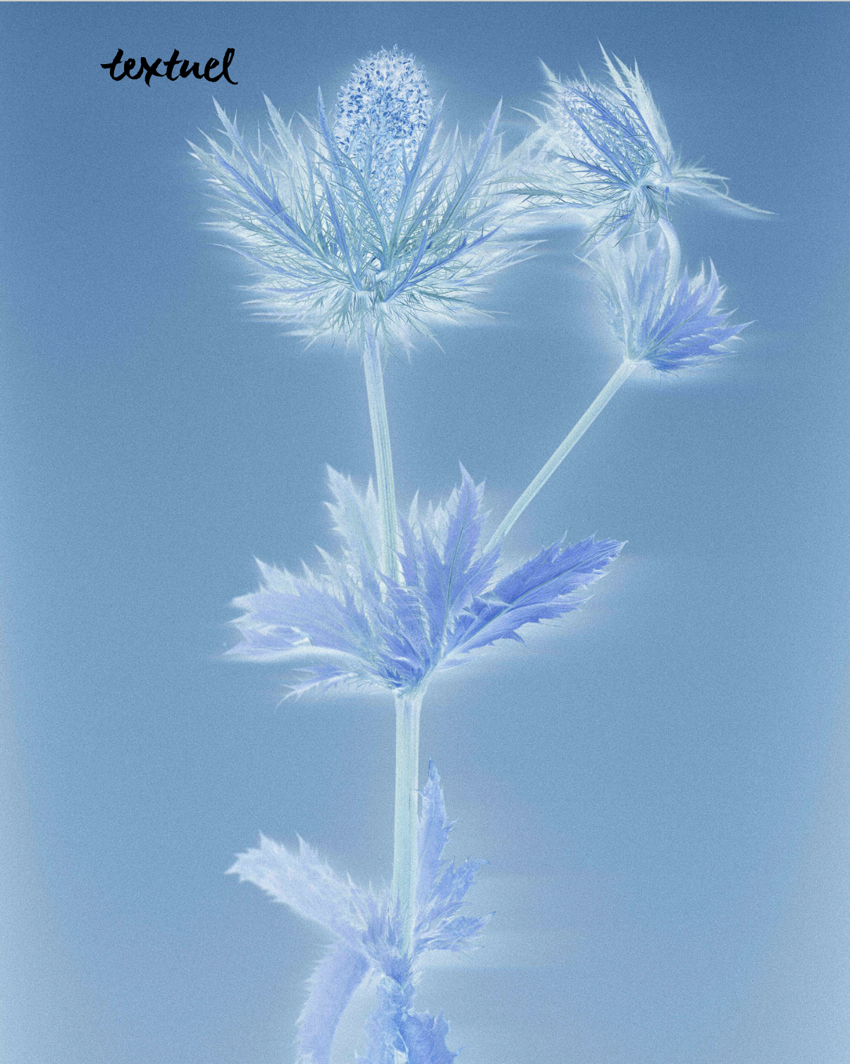 Capture d’écran 2025-12-06 à 17.27.29.png