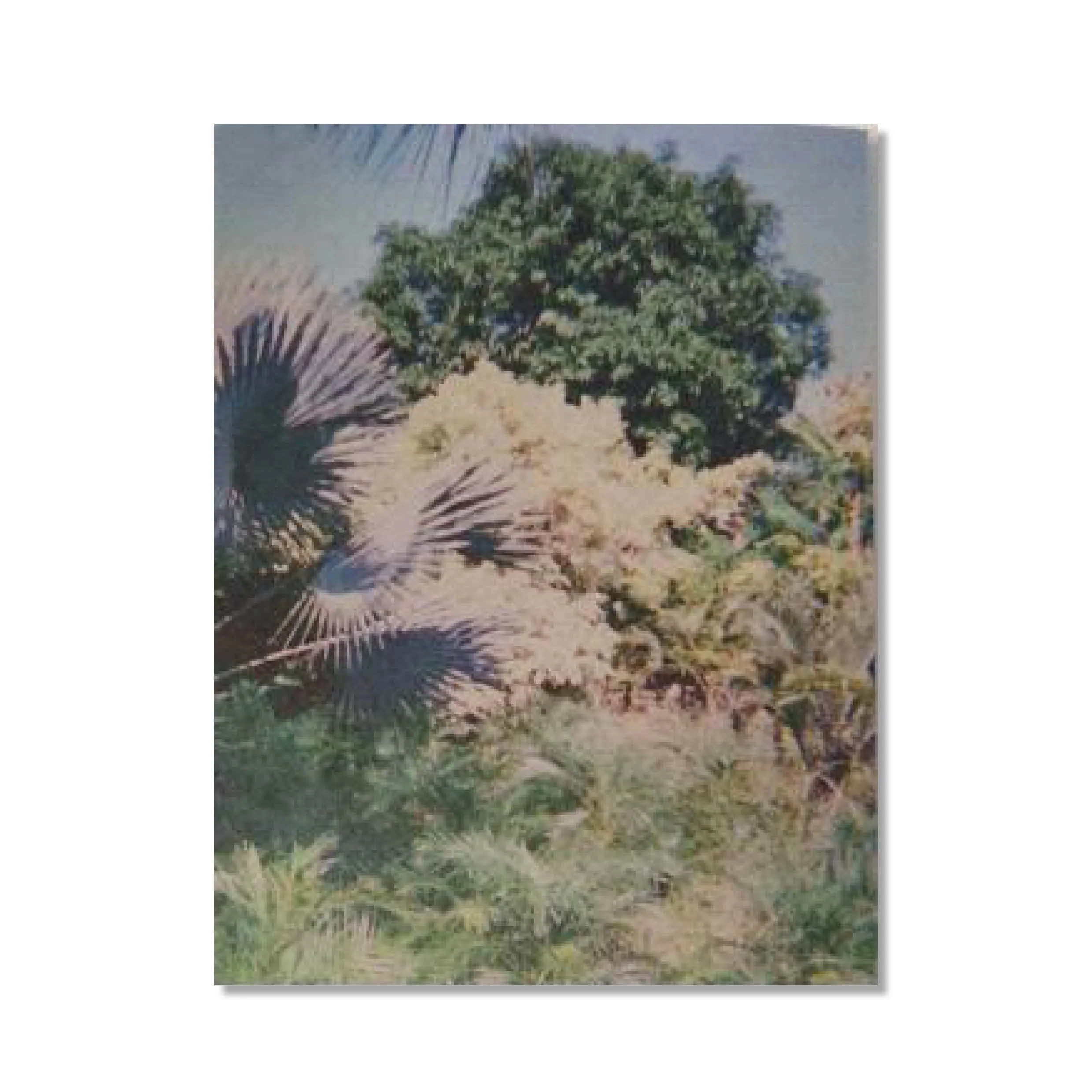 Cristobal Ascencio / Las Flores Mueren Dos Veces