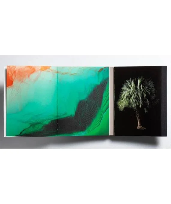 las-flores-mueren-dos-veces-crstobal-ascencio (3).jpg