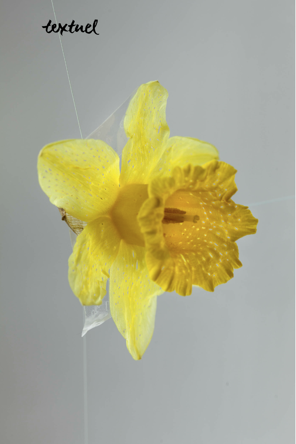 Capture d’écran 2025-12-06 à 17.27.49.png