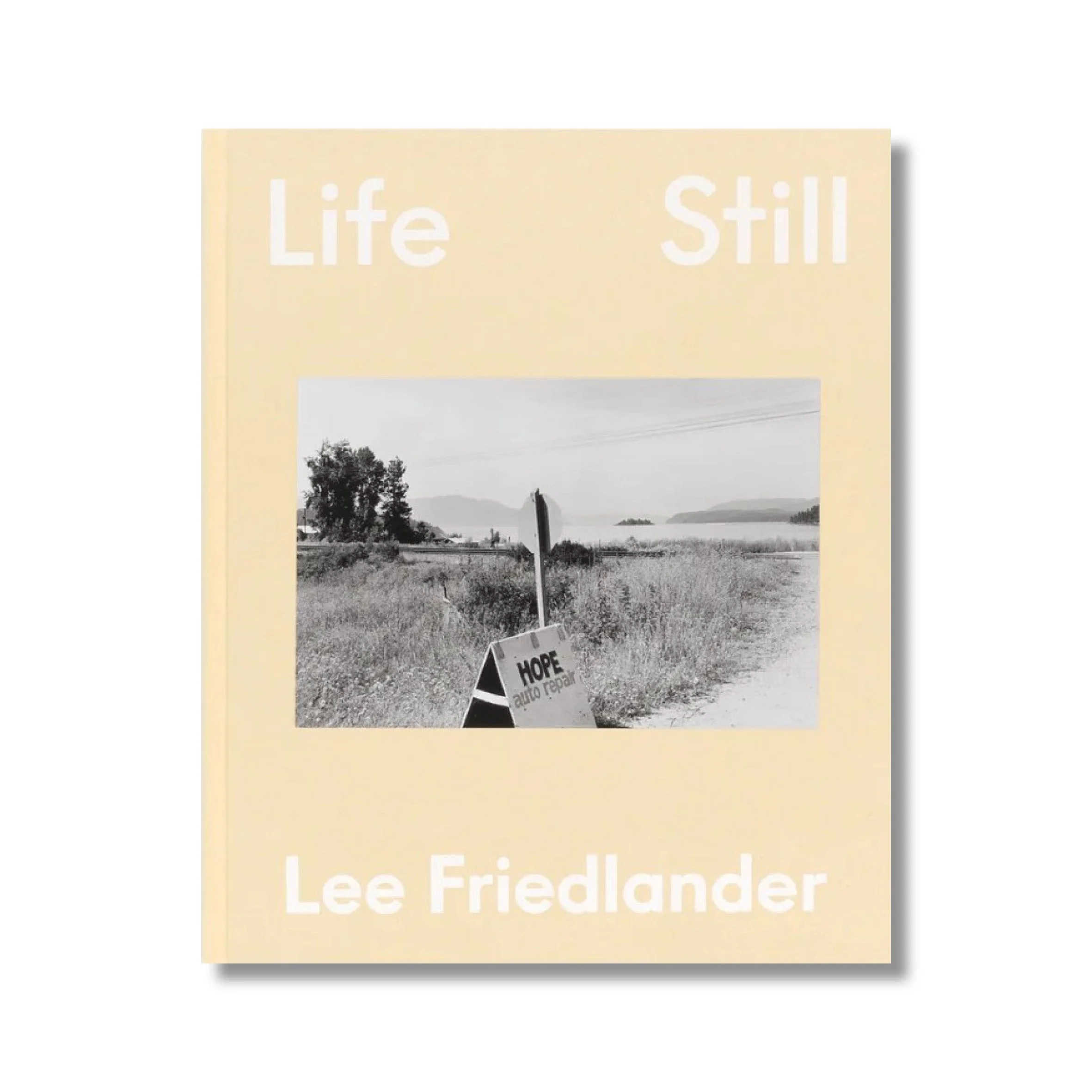 lifestill.jpg