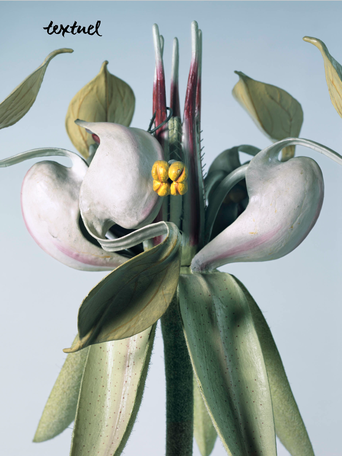 Capture d’écran 2025-12-06 à 17.27.24.png