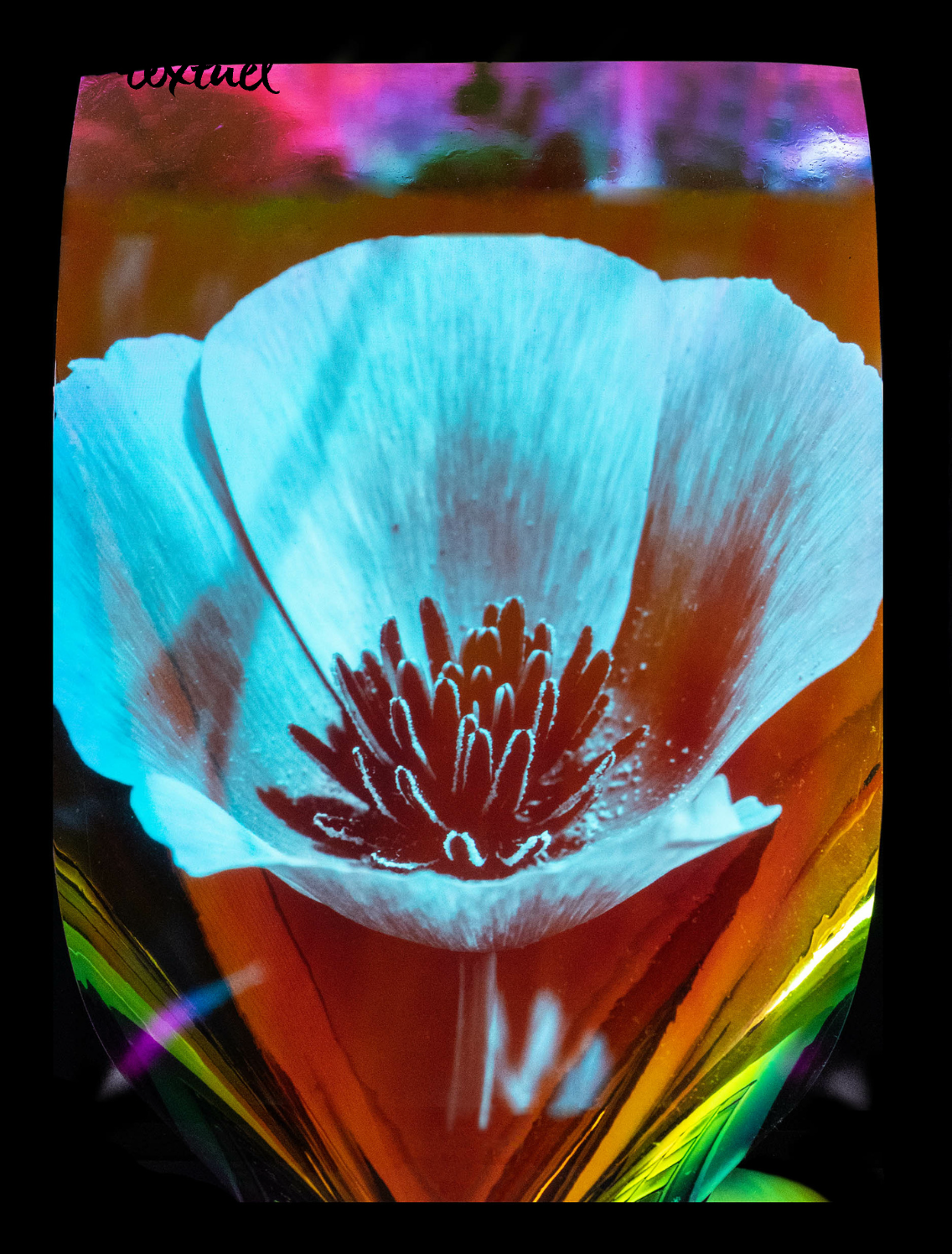 Capture d’écran 2025-12-06 à 17.26.49.png