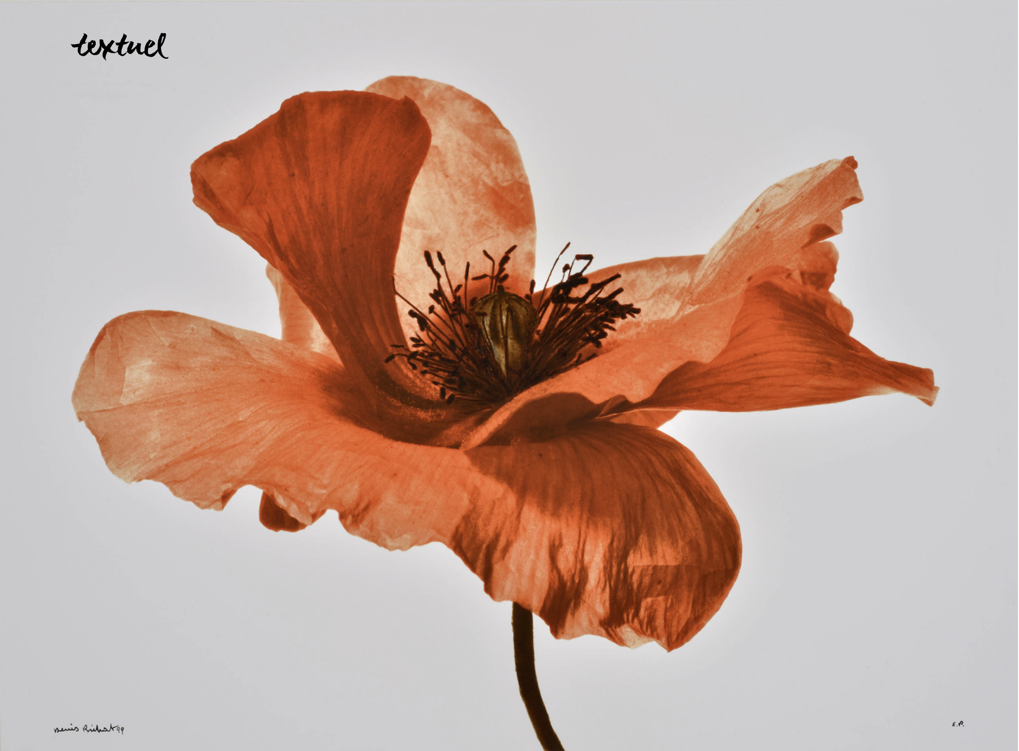 Capture d’écran 2025-12-06 à 17.26.53.png