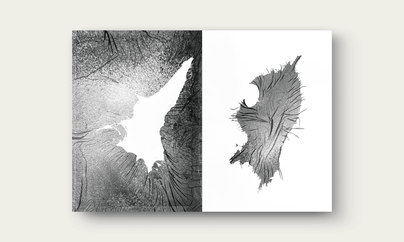 planches-SylvieBonnot_ProcessEditions_06.png.webp