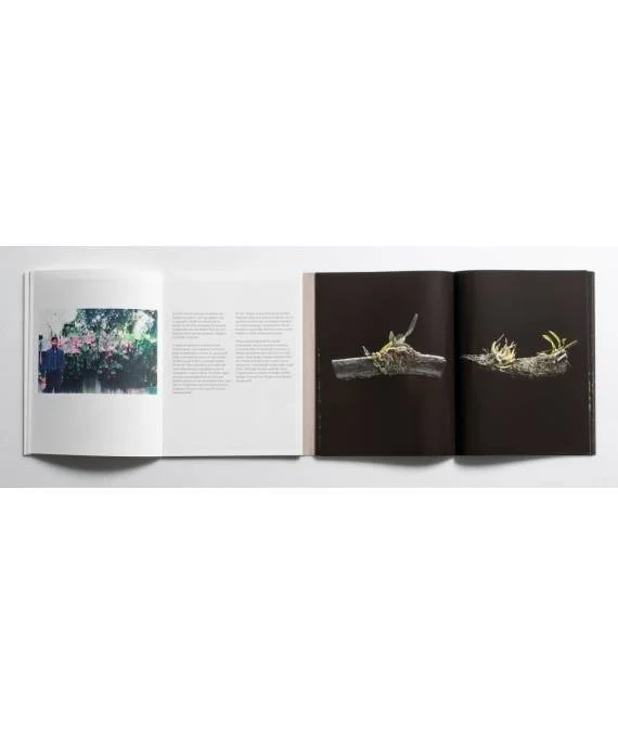 las-flores-mueren-dos-veces-crstobal-ascencio (6).jpg