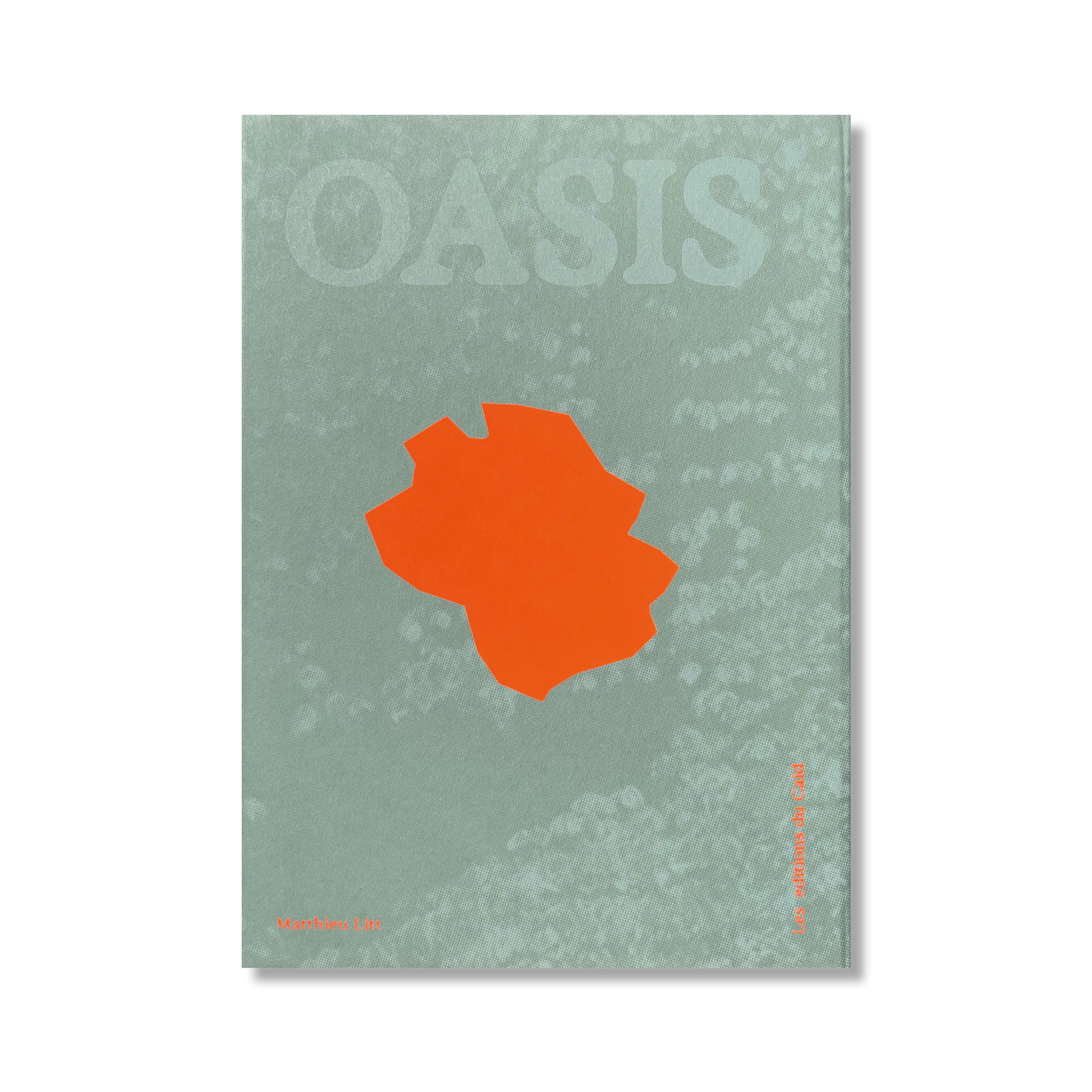 oasis_matthieulitt2.jpg