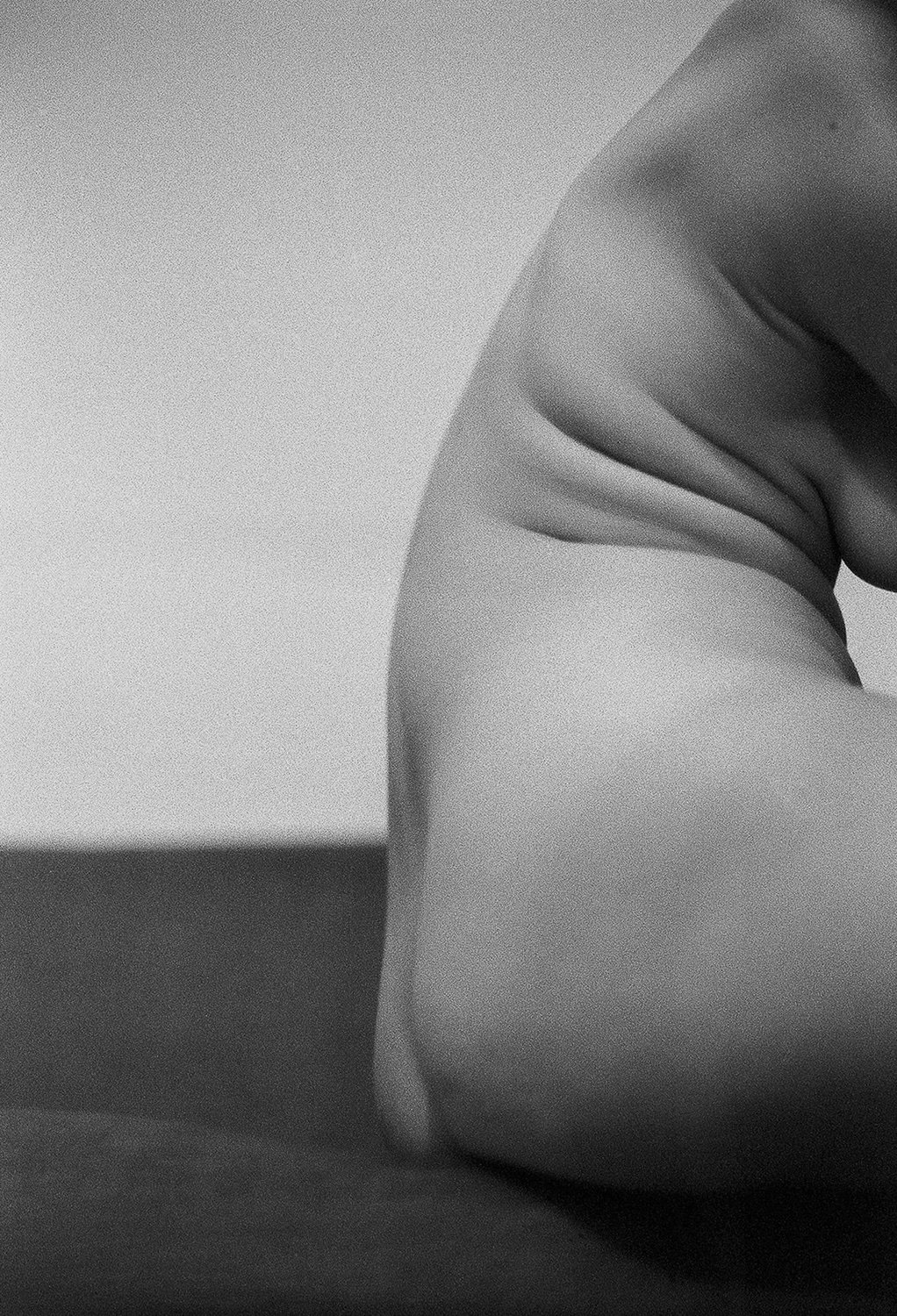 Vic Orth / Ondulation