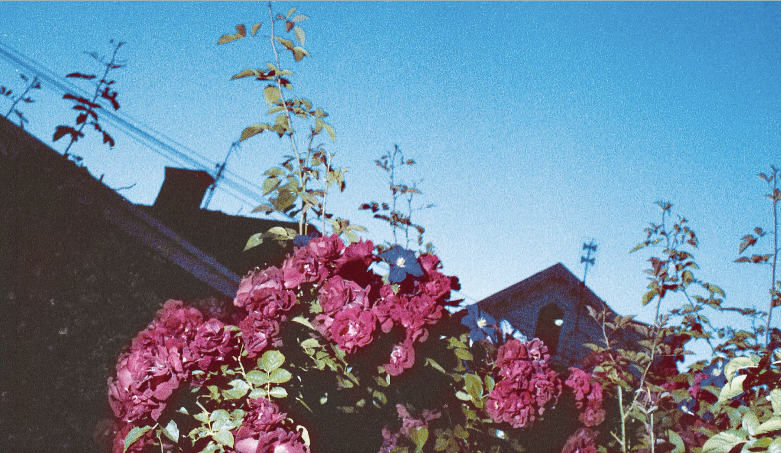 Capture d’écran 2025-12-06 à 15.28.18.png