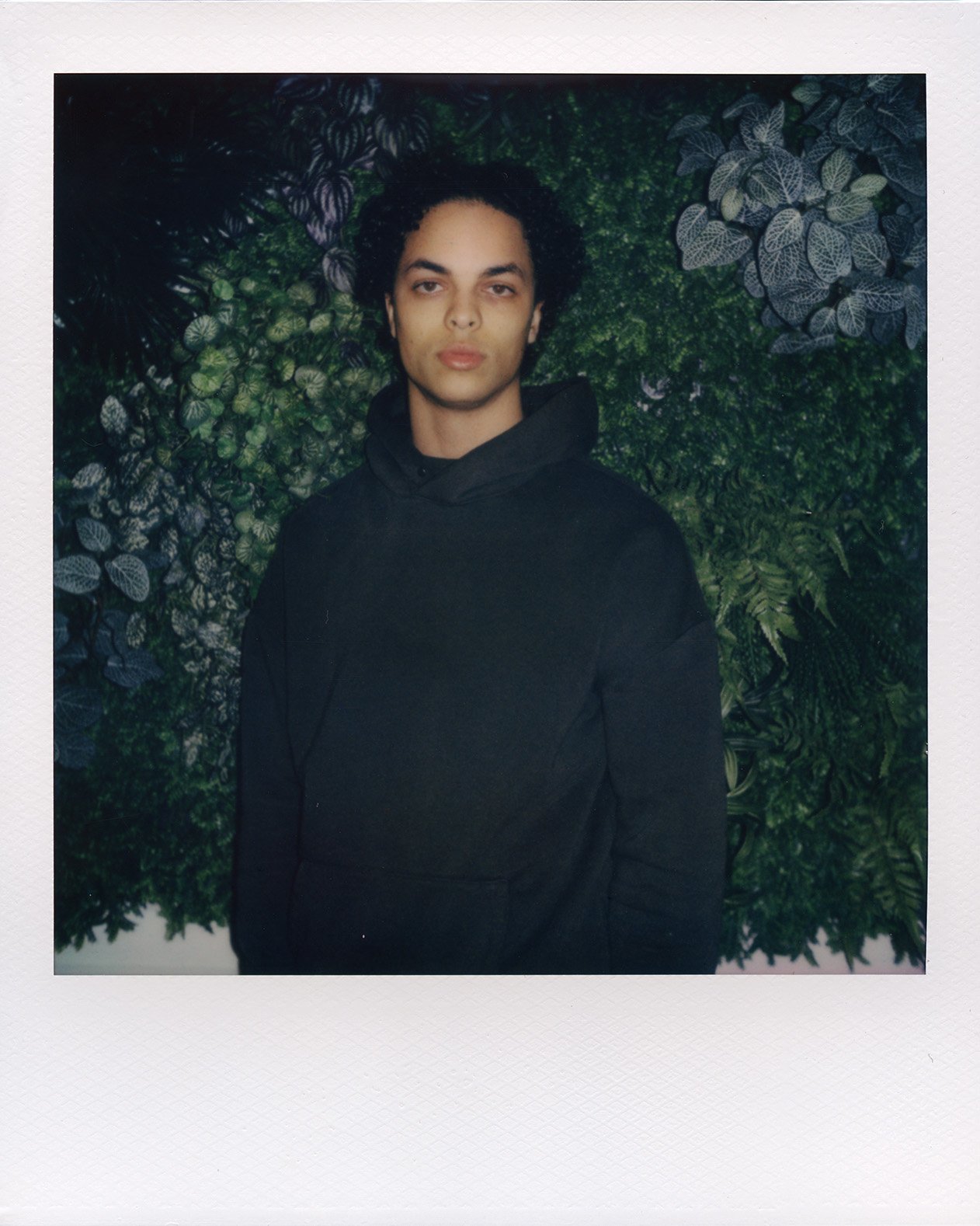 HQ-1200-16bit-Pola-v2-4@0.3x.jpeg