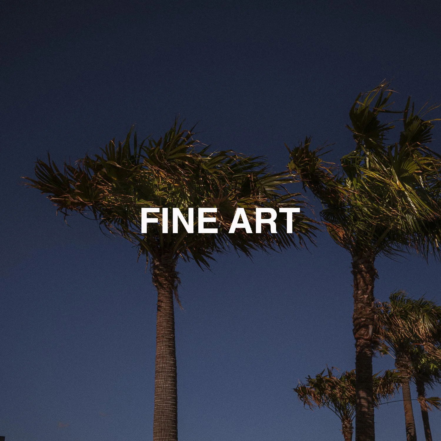 FINE ART-IMAGE-20263-25-2.jpg