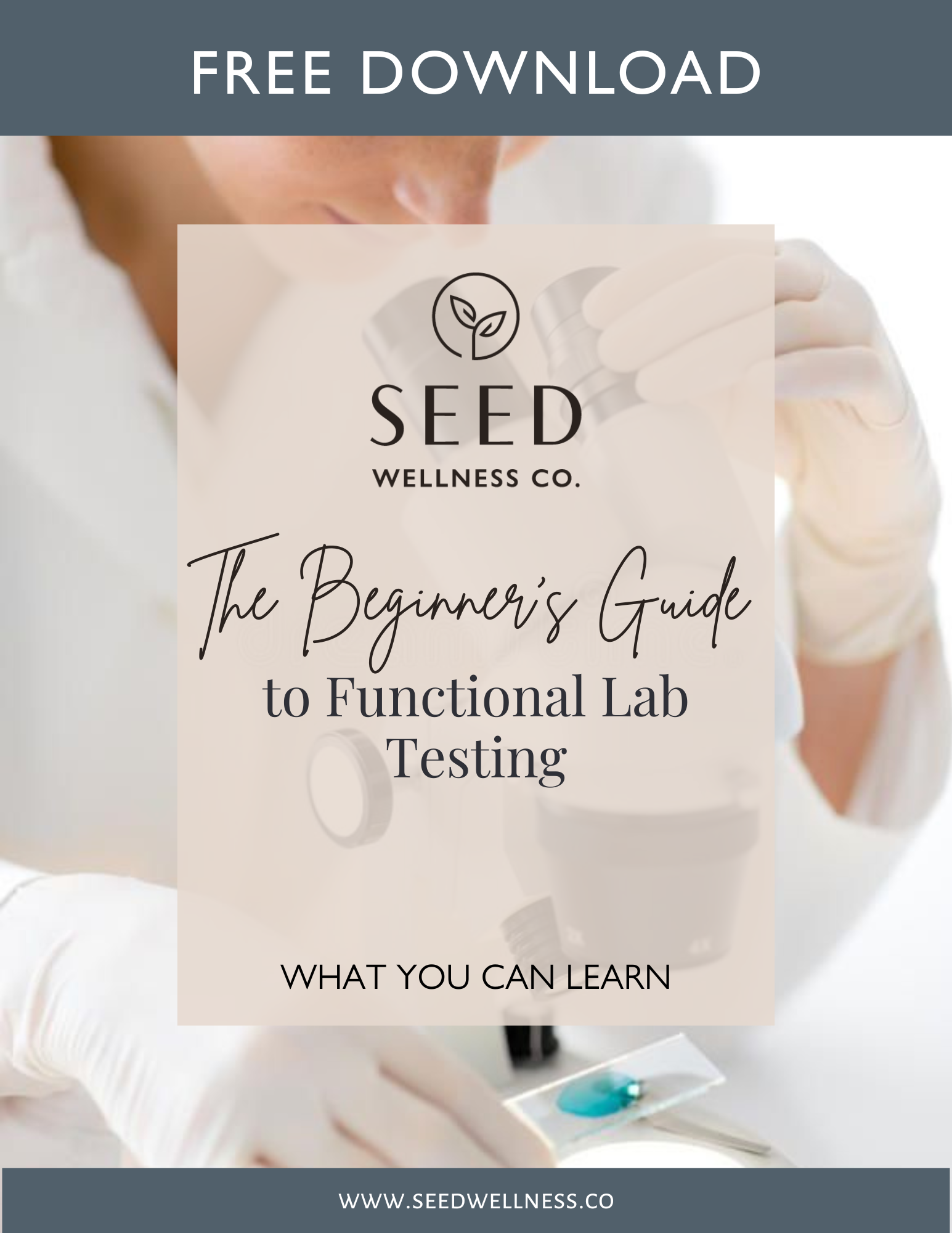 The Beginner’s Guide to Functional Lab Testing: What You Can Learn ...