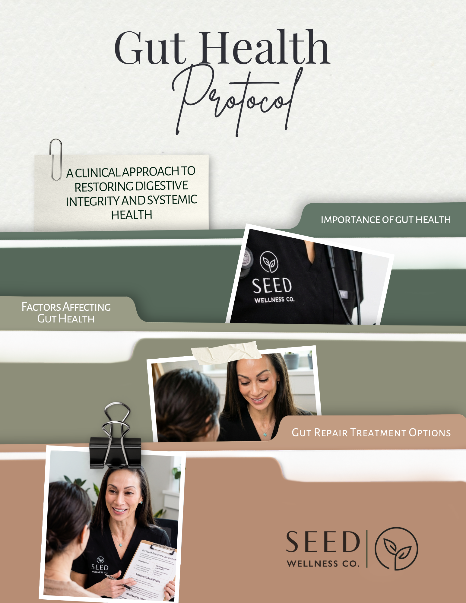 Gut Health Protocol (The Master Blueprint)