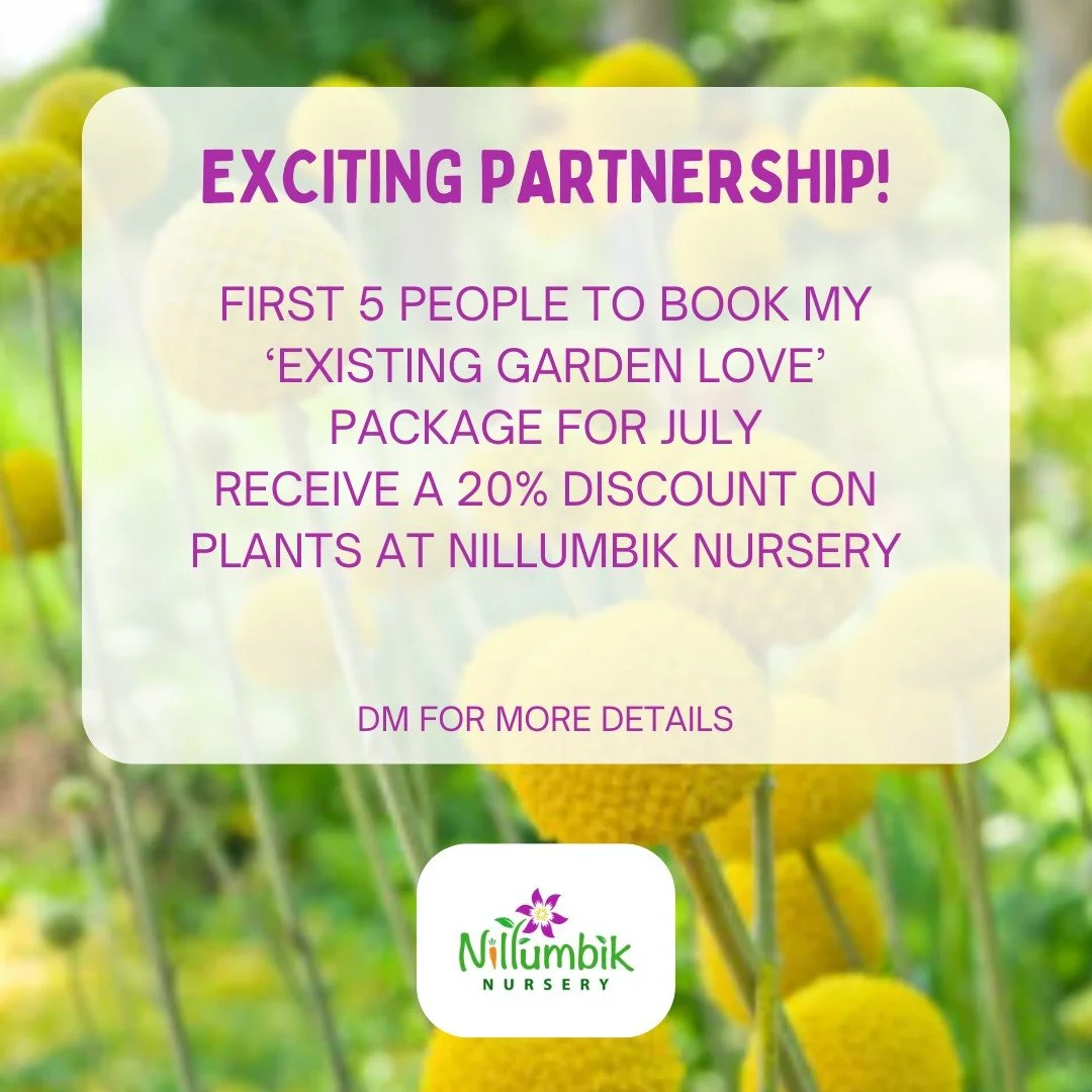 Winter is the perfect time to plot out any changes you want to make in your garden. Send a DM and book me in to help you plan; how to improve your soil, what pruning needs to be done and which plants will thrive. A short consult can set you on the pa