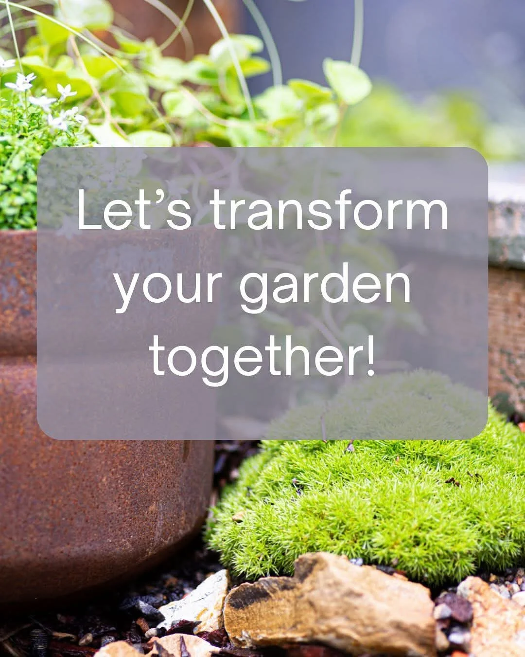 Winter is the ideal time to love on your garden - and I&rsquo;d love to help you! 

Please DM me or visit my website (link in bio) to book in an existing garden love package. 

#gardenlove #gardendesign #carlaperry #carlaperrydesign #plants #gardenin