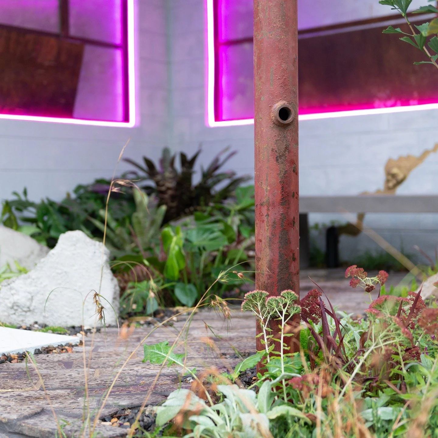 We have loved talking to everyone at the flower show about our garden 'The New Nature.' We would love to keep the conversation going about how we view our industrial spaces and the healing power of plants.

If you'd like some more information check o