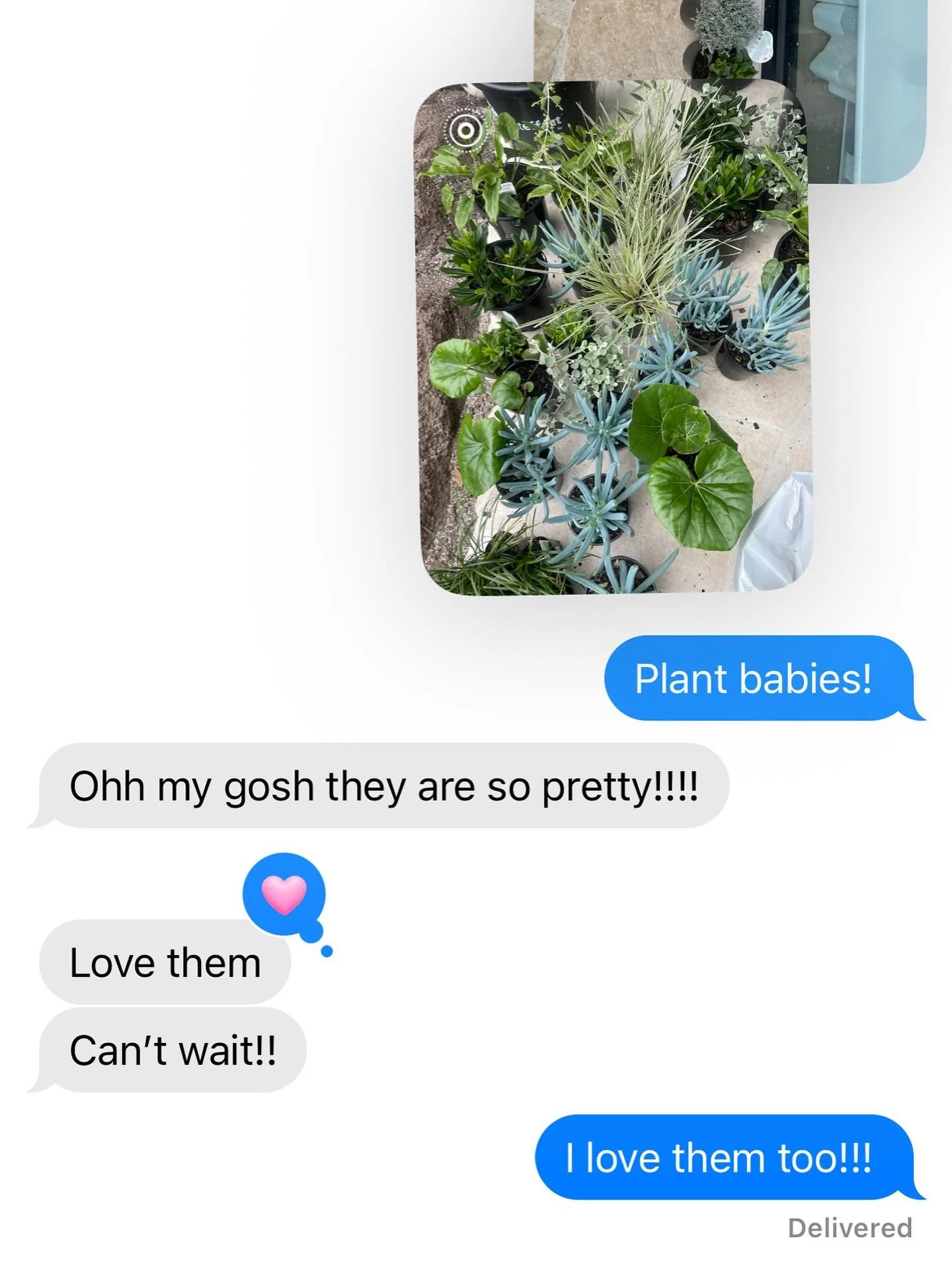 Best ever client reaction!