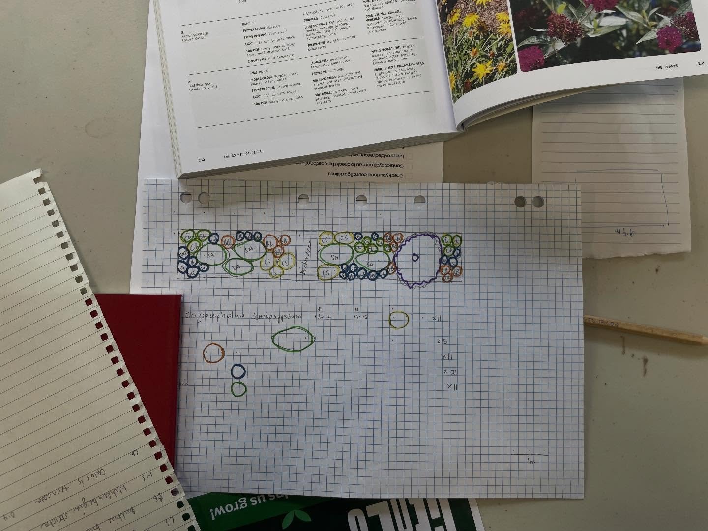 Yesterday I had the pleasure of teaching a planting design workshop at @ceresbrunswick focusing on planting a native garden on your nature strip for pollinators. Thank you so much to everyone who attended it was great spending time with you all discu