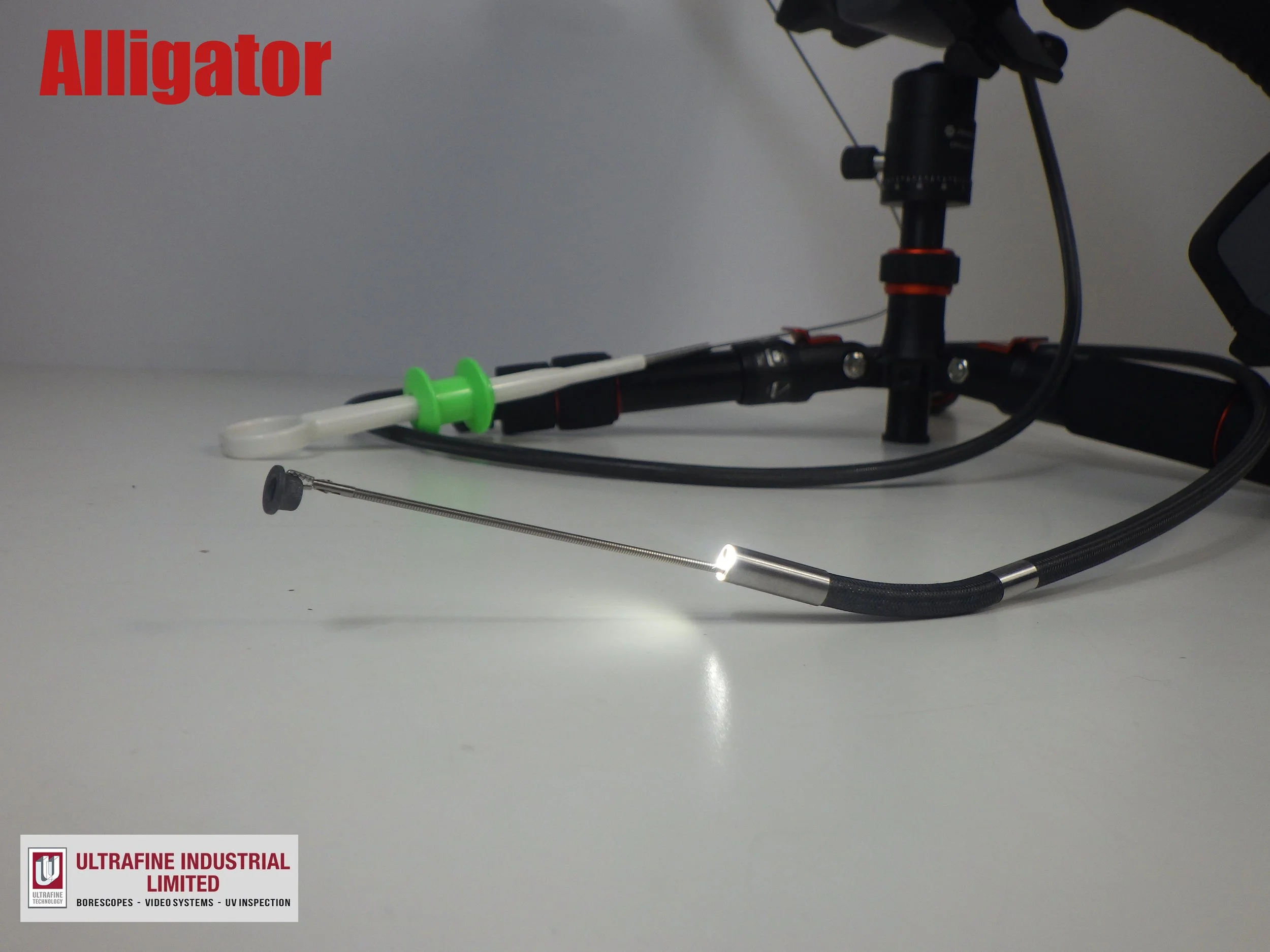 Alligator Labelled.jpg