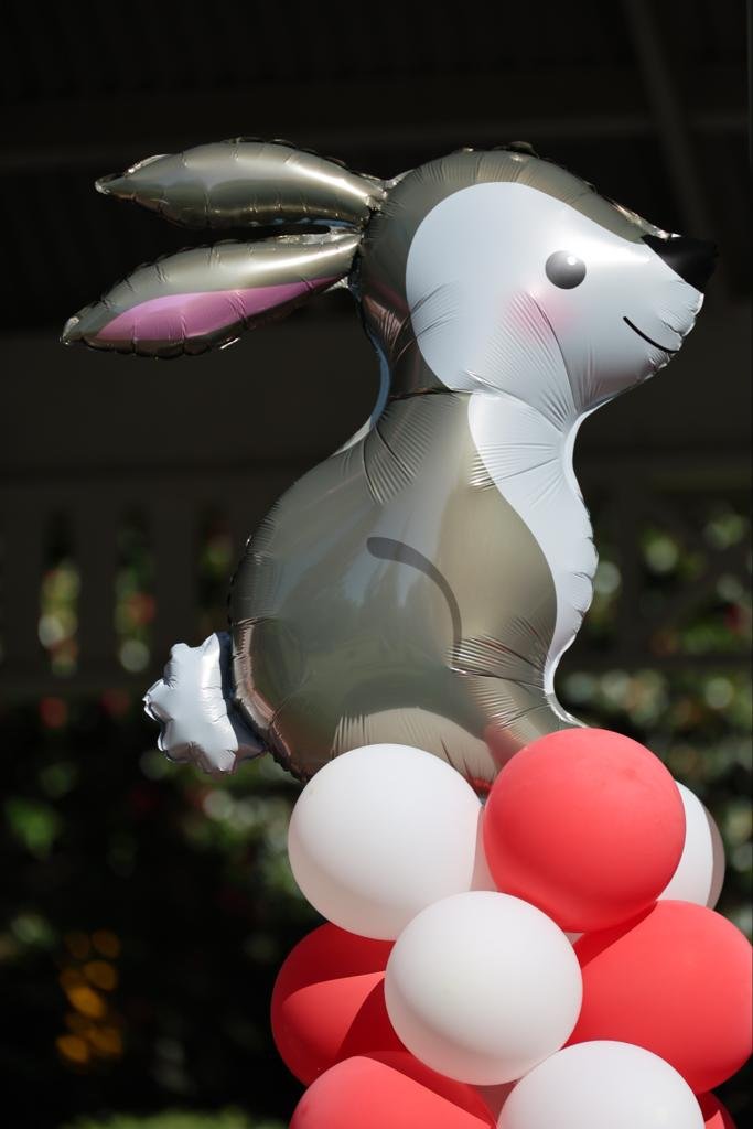 rabbit ballon-90923.jpg