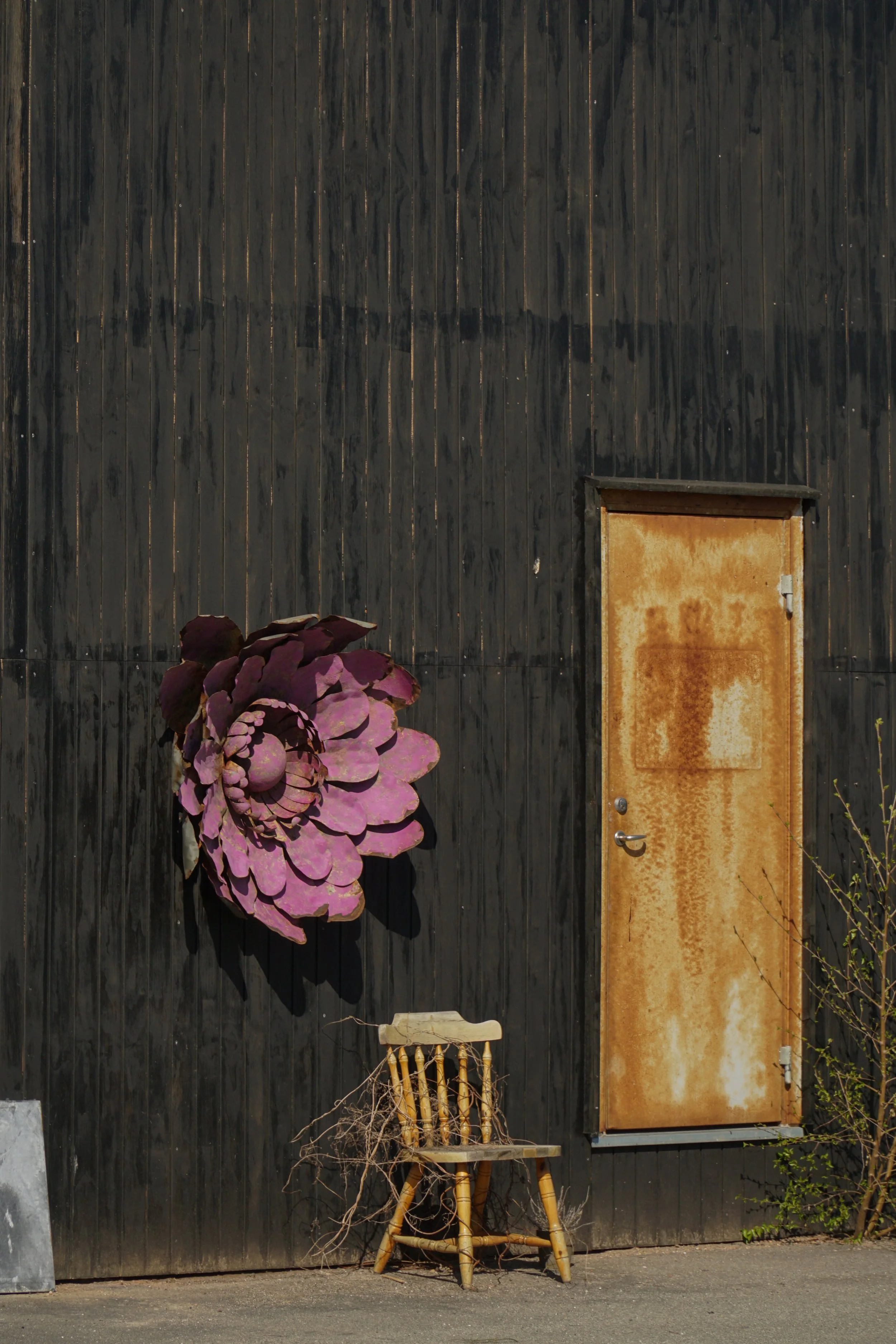 Flower.jpg