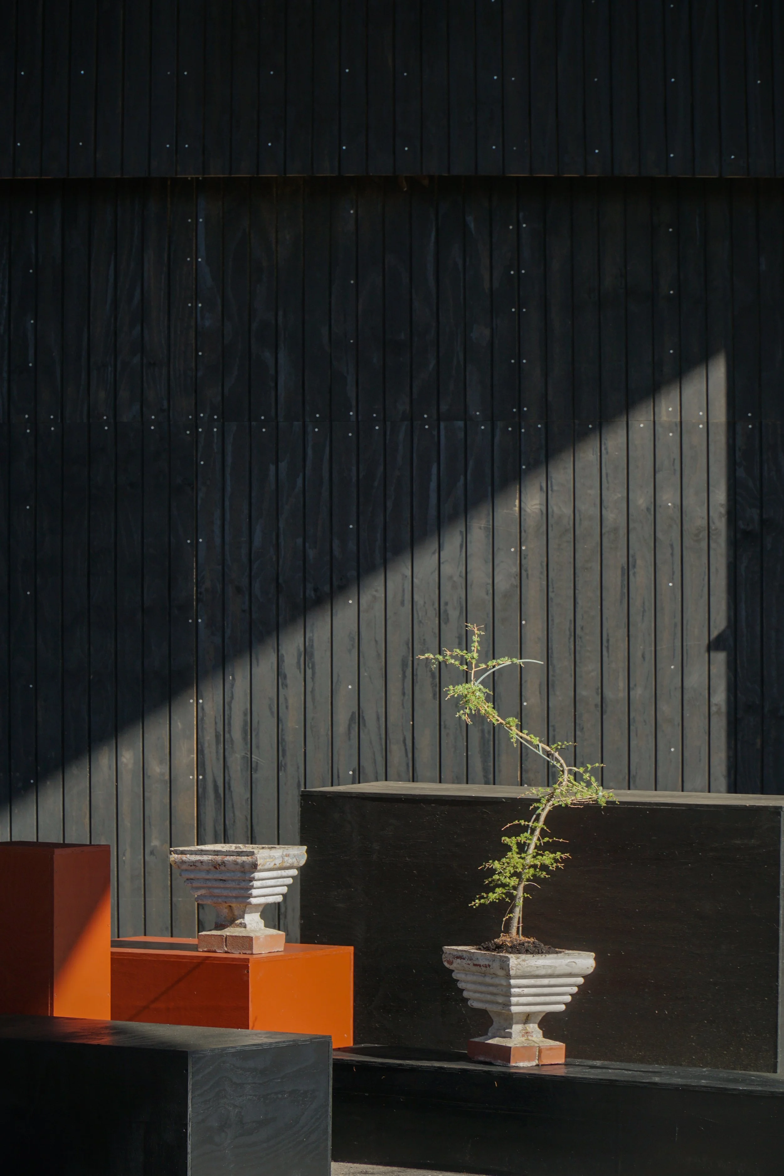 White_Planters-17.jpg