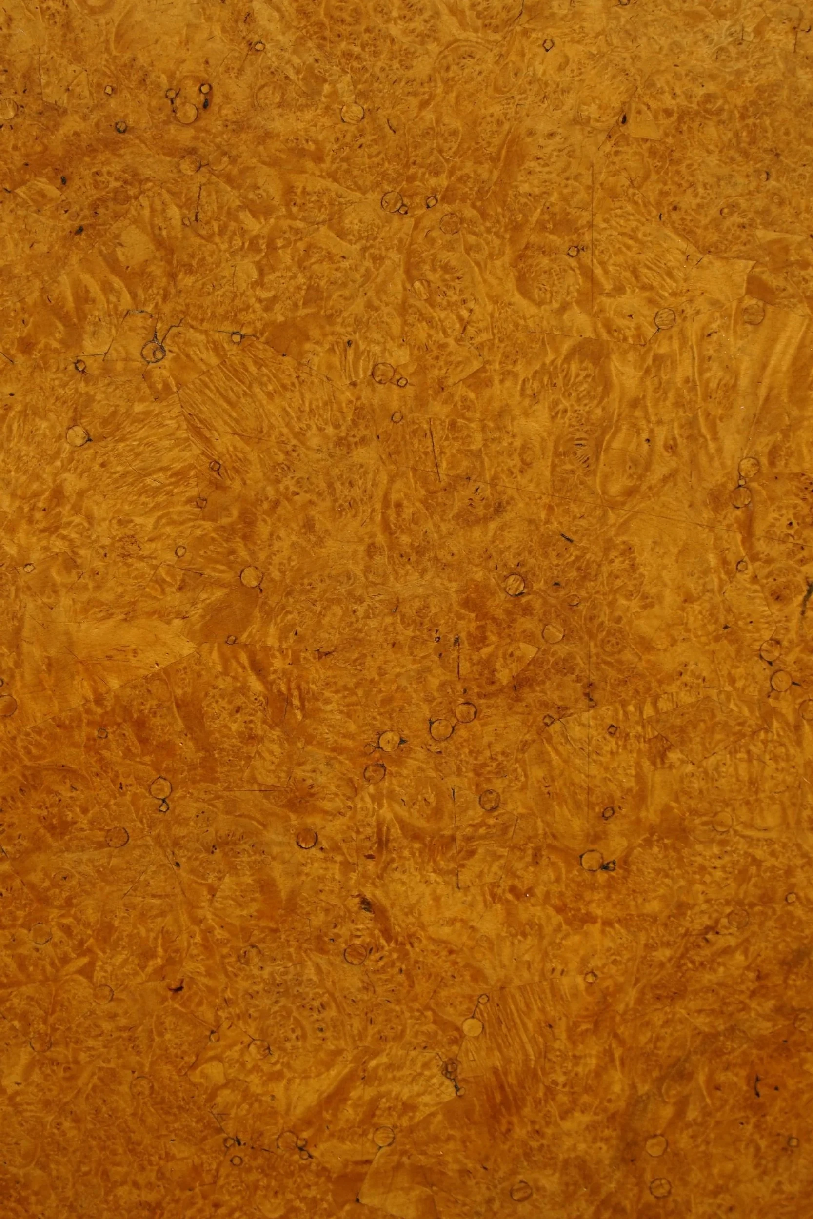 676825536_2020988961838942_2033716485279103302_n.jpg